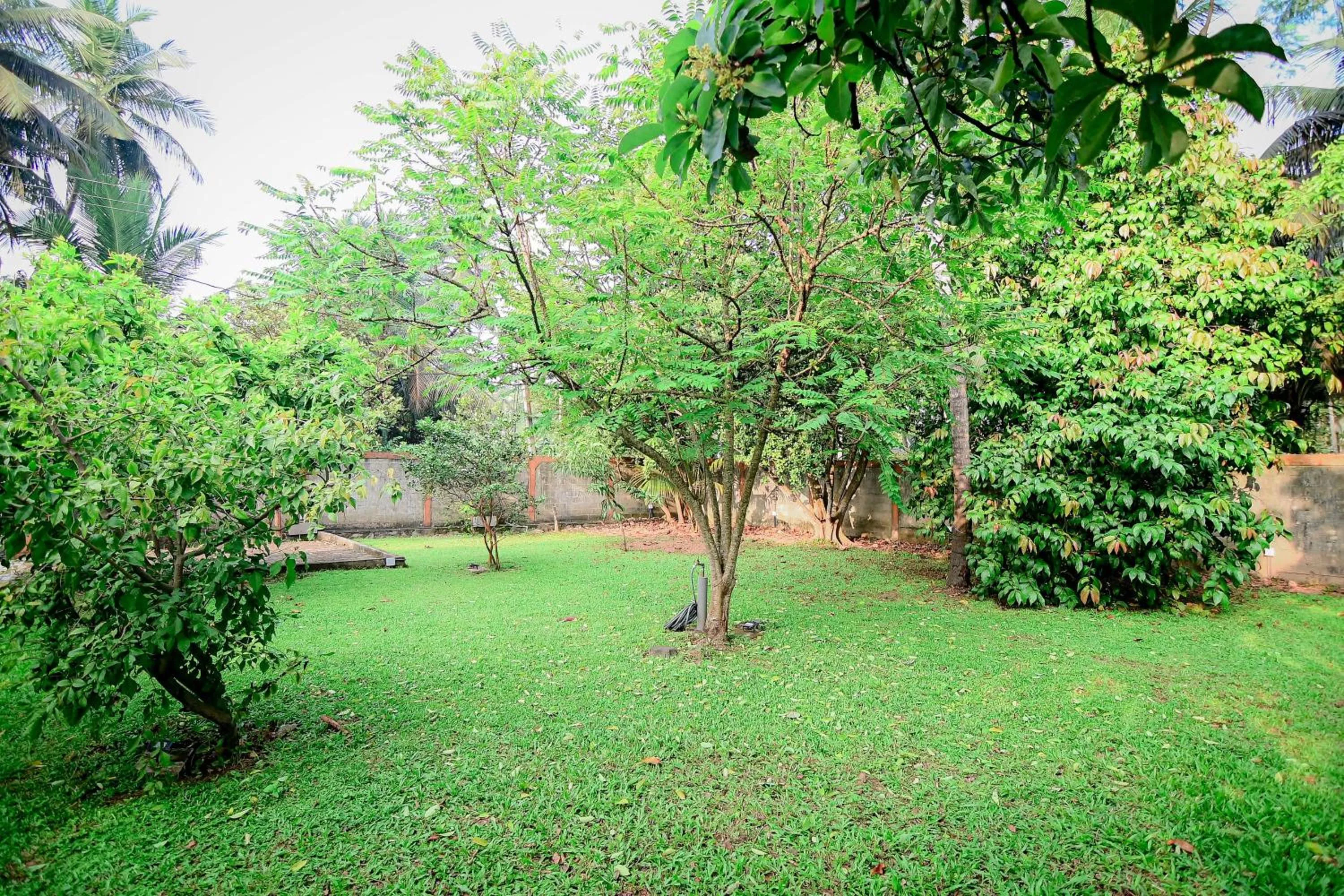 Garden in Airport Villa