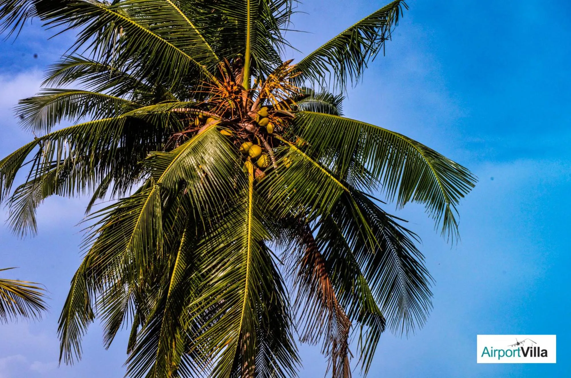 Natural landscape in Airport Villa