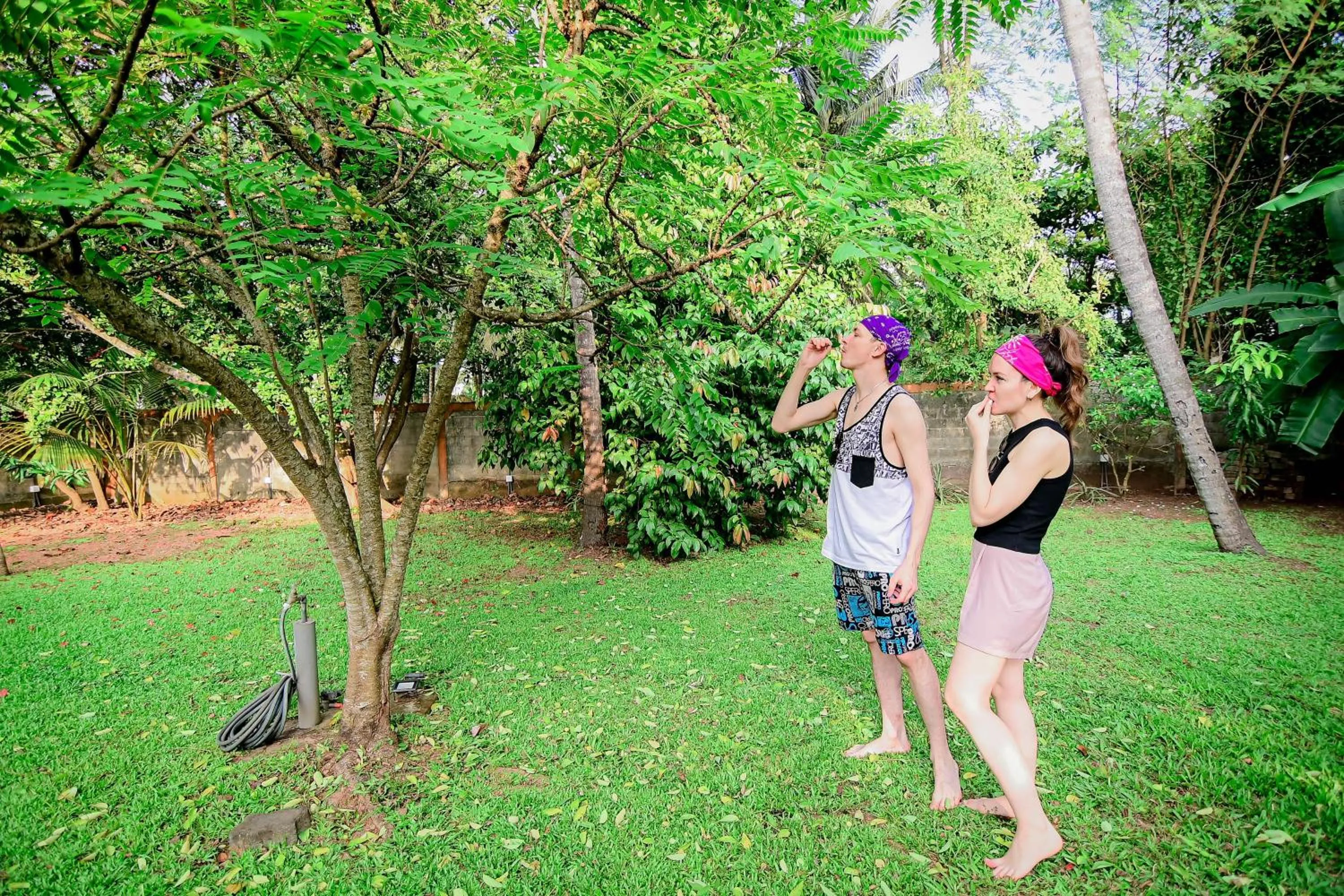 Garden in Airport Villa