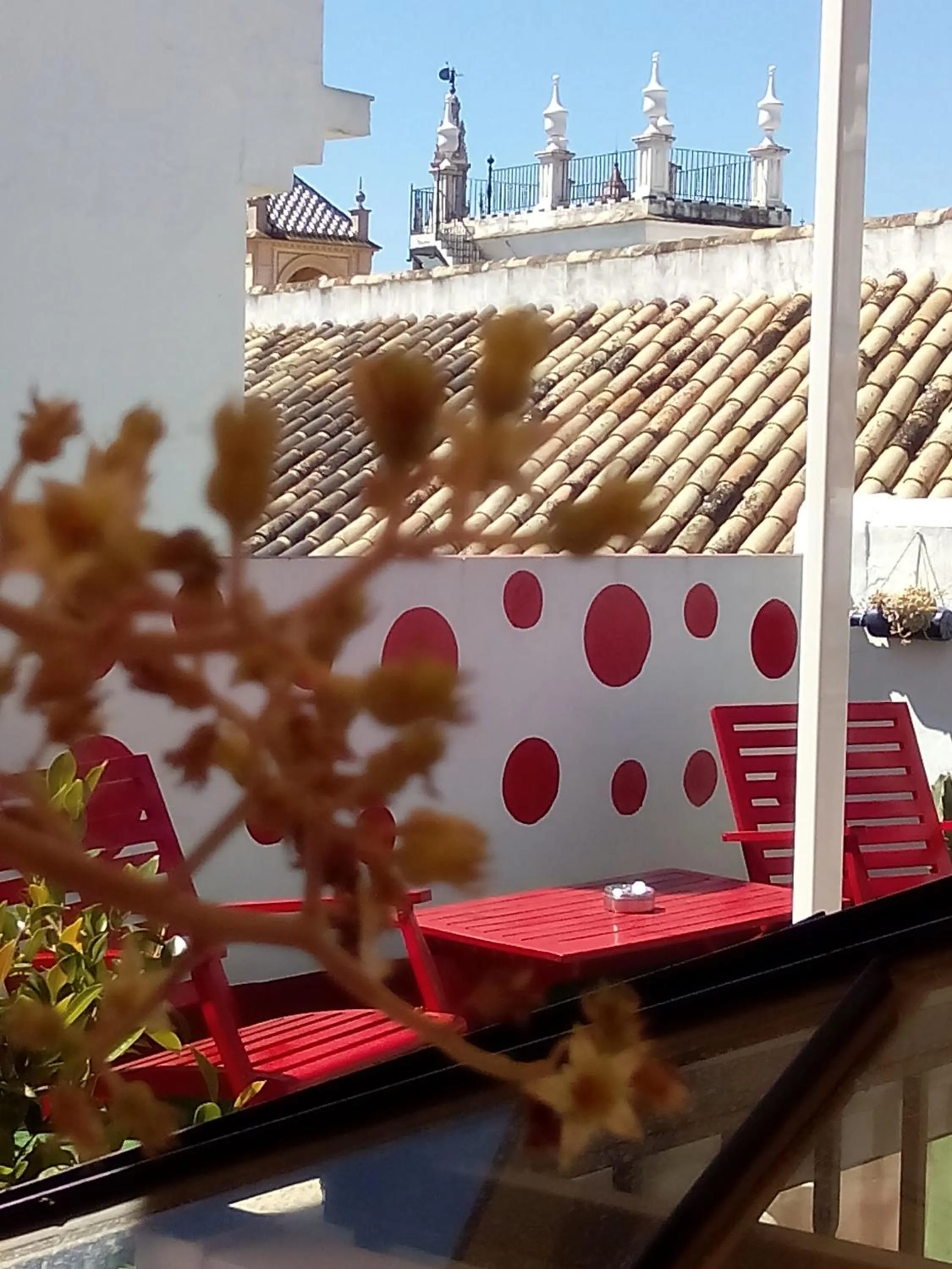 Other in Pension Doña Trinidad