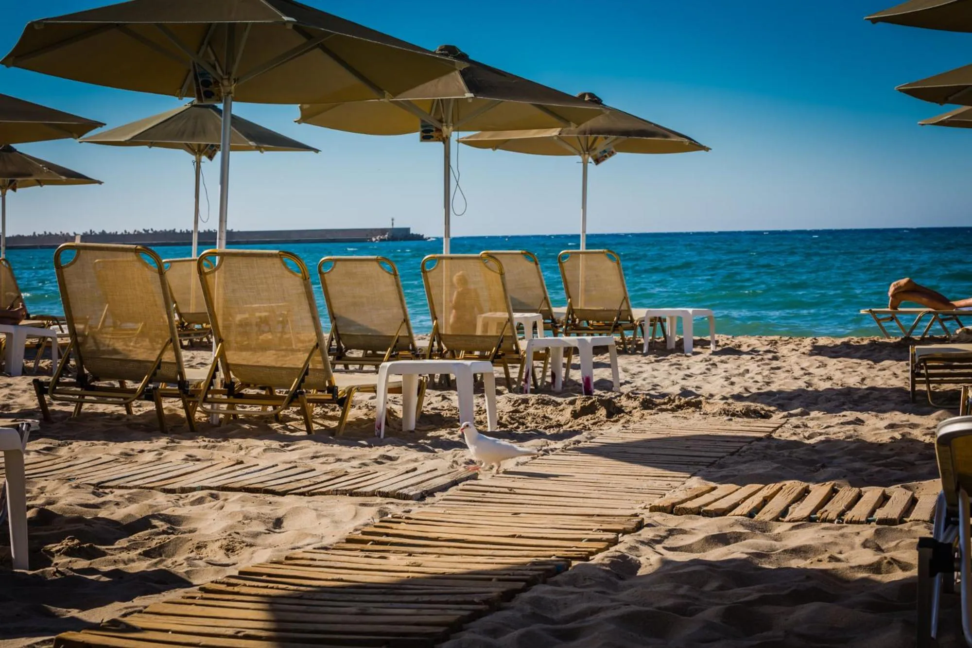 Beach in Theo Beach Hotel Apartments