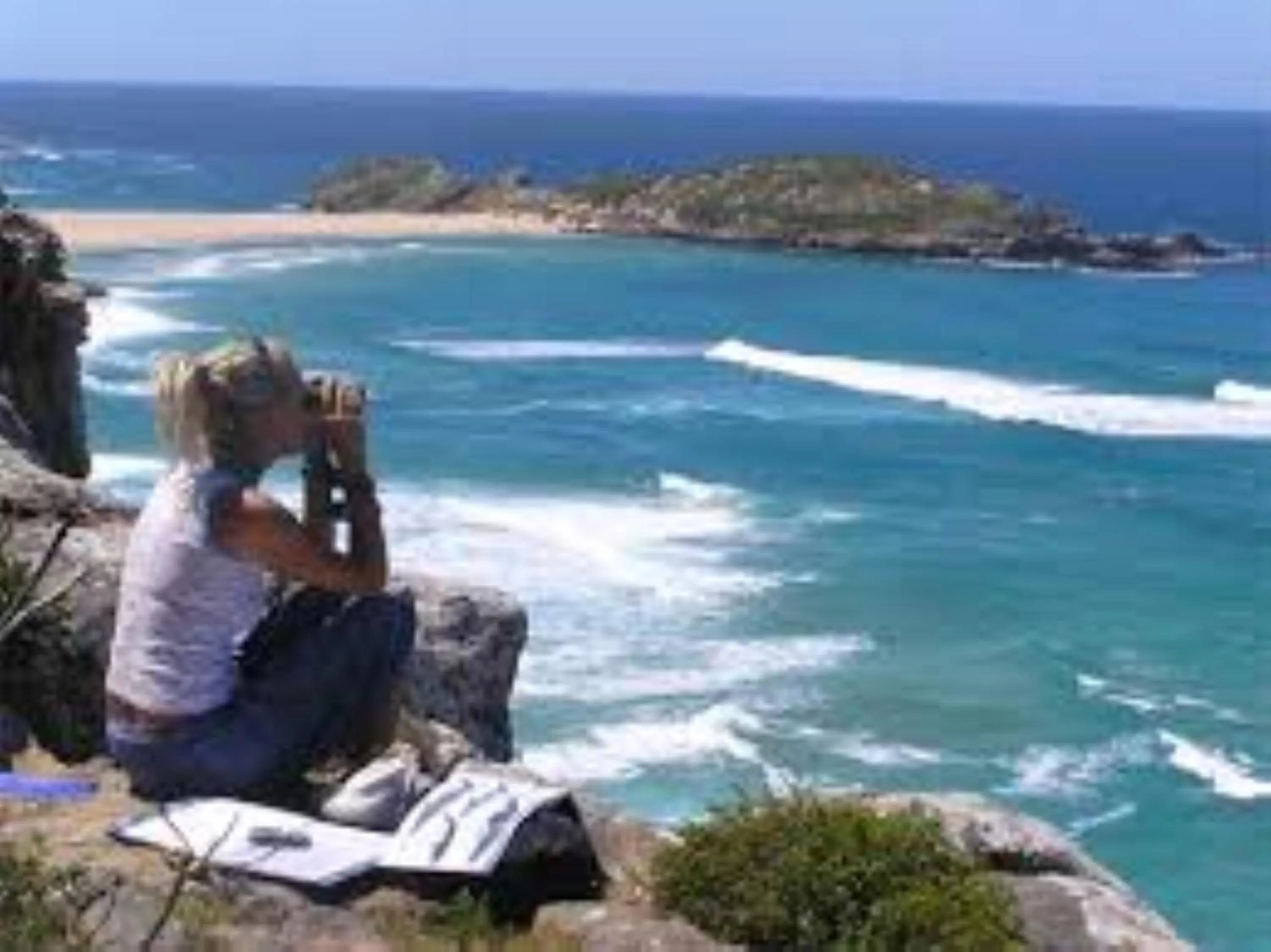 Natural landscape in Plett Beachfront Accommodation