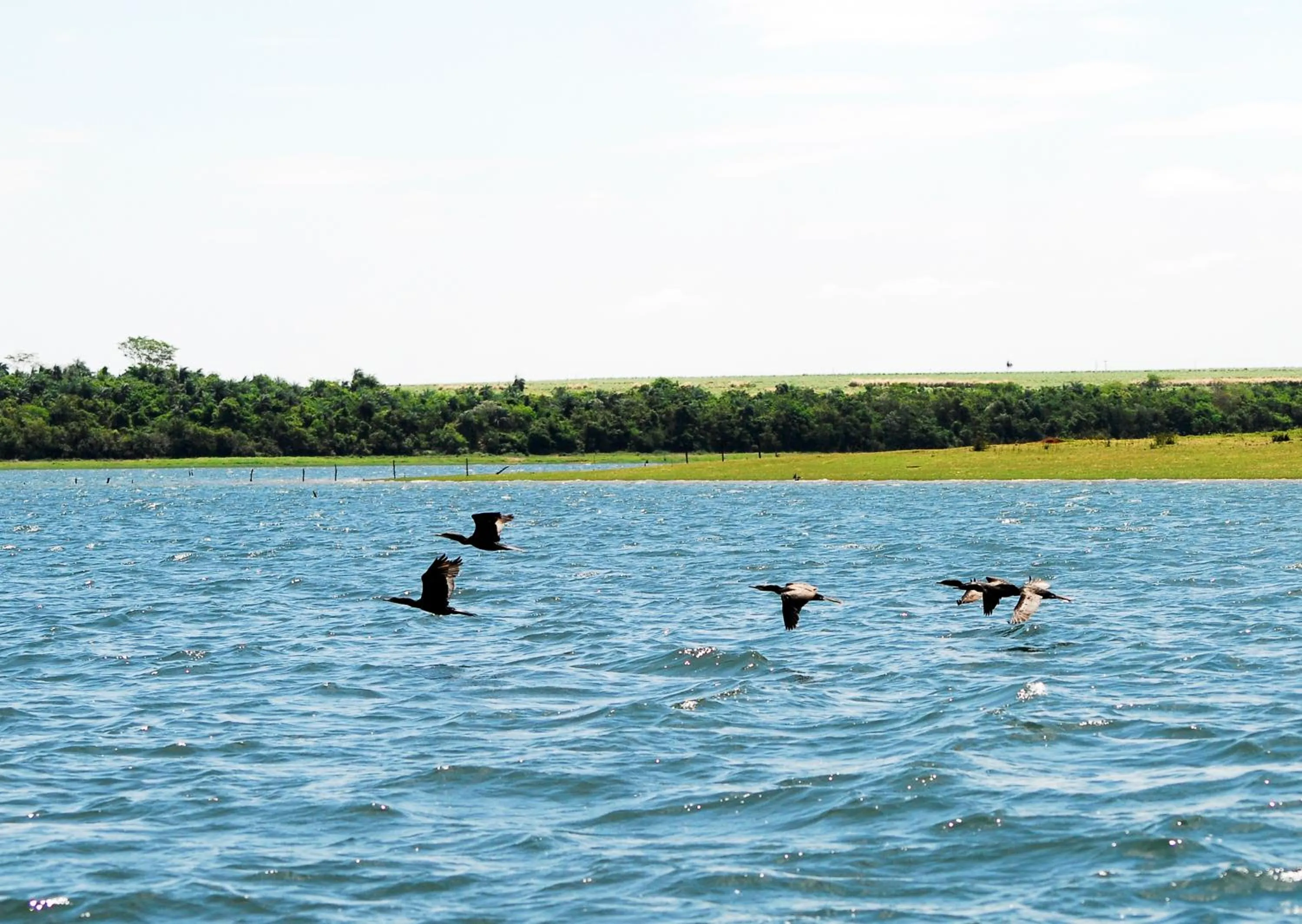 Day in Resort da Ilha