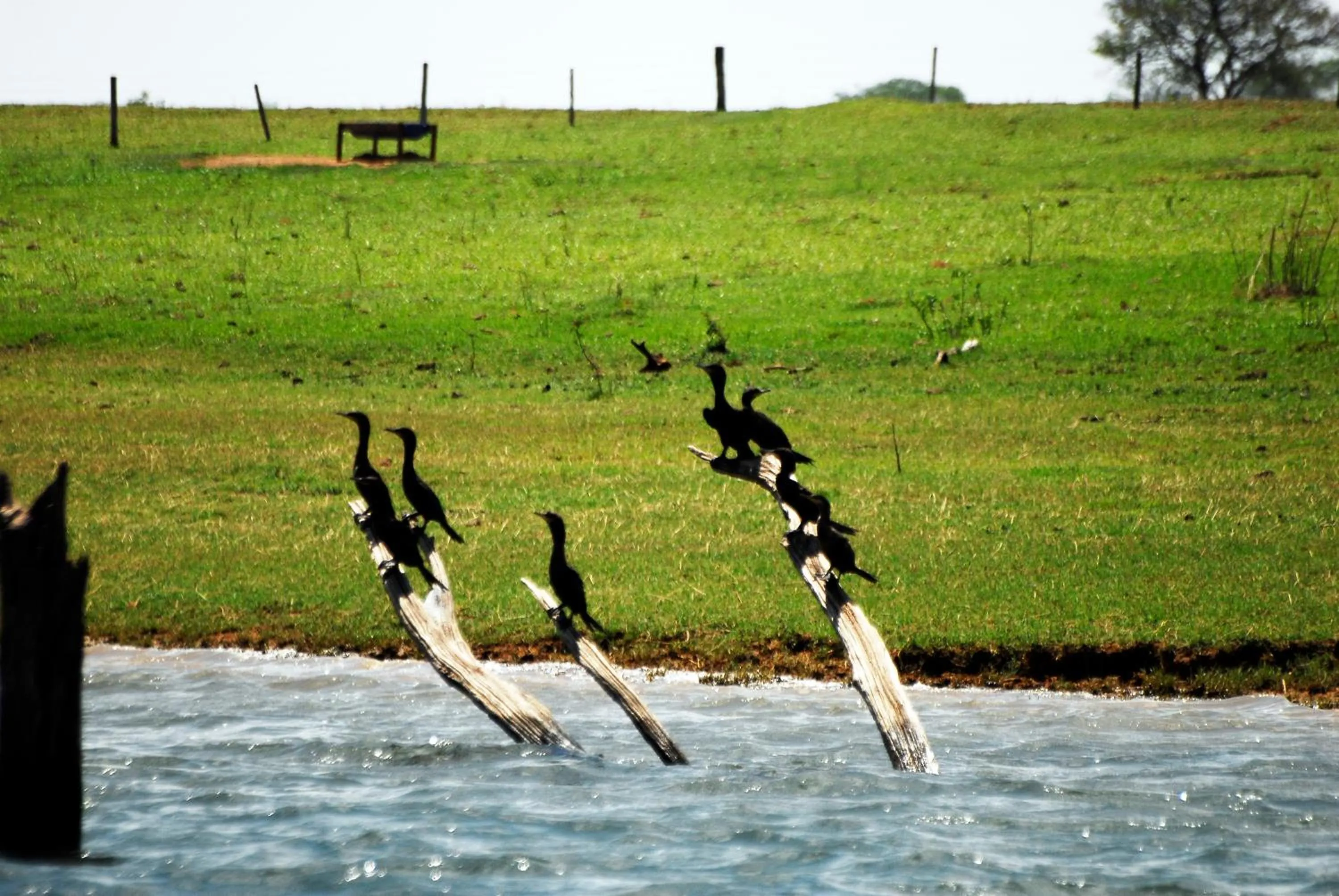 Day in Resort da Ilha