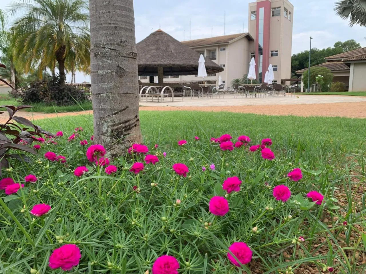 Garden in Resort da Ilha