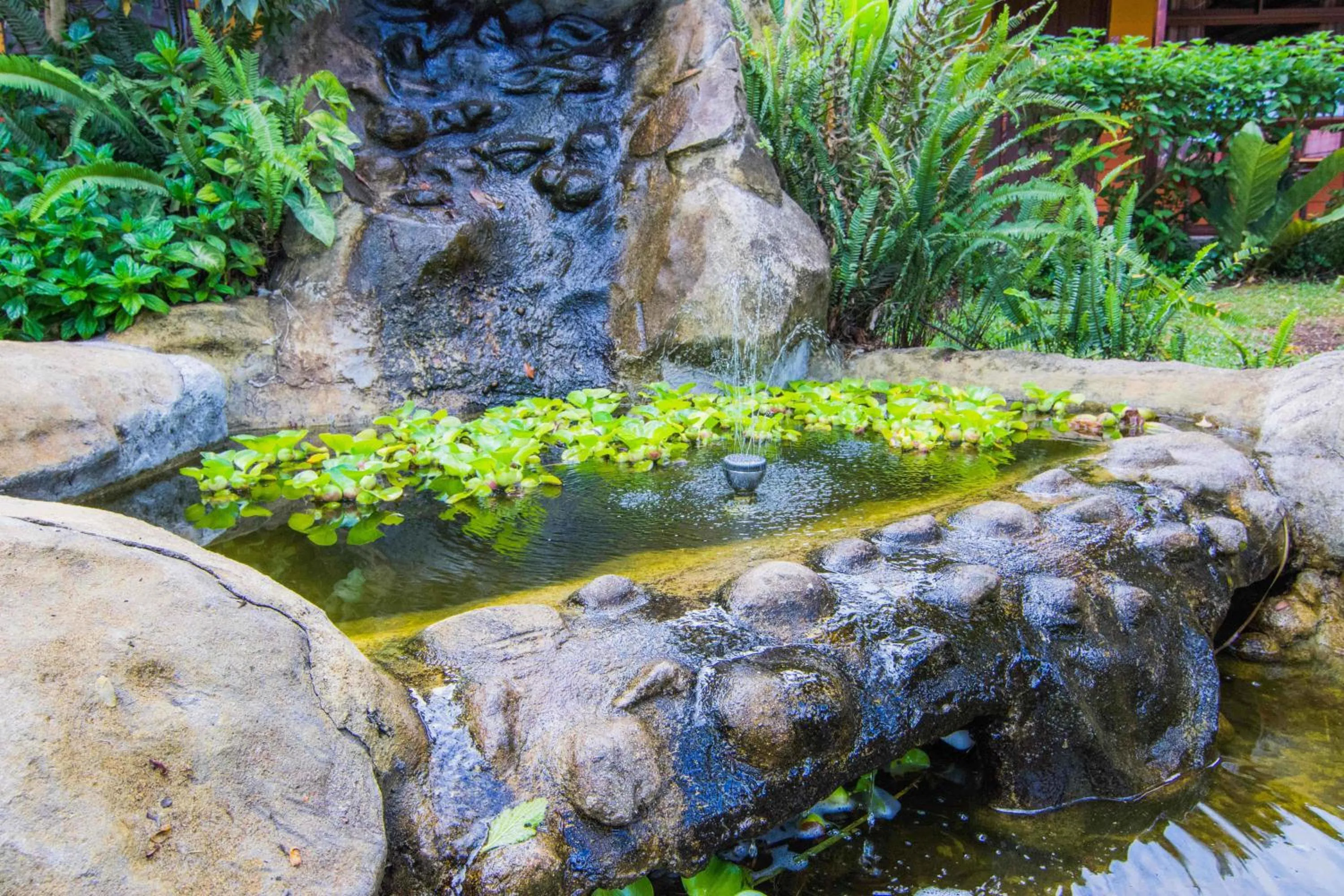 Patio in Hotel Cipreses