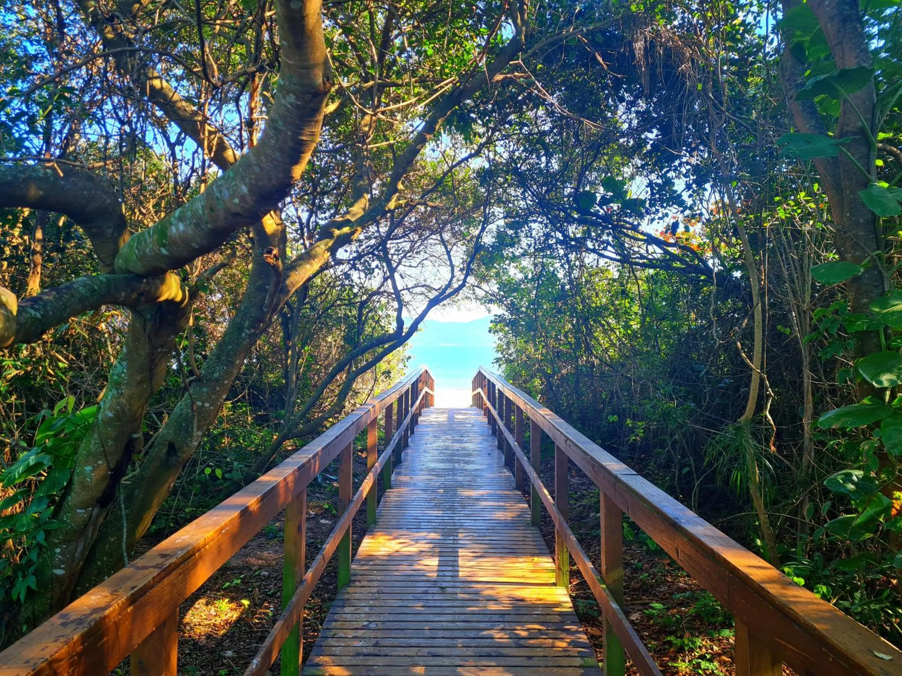 Beach in Belle Arti Pousada