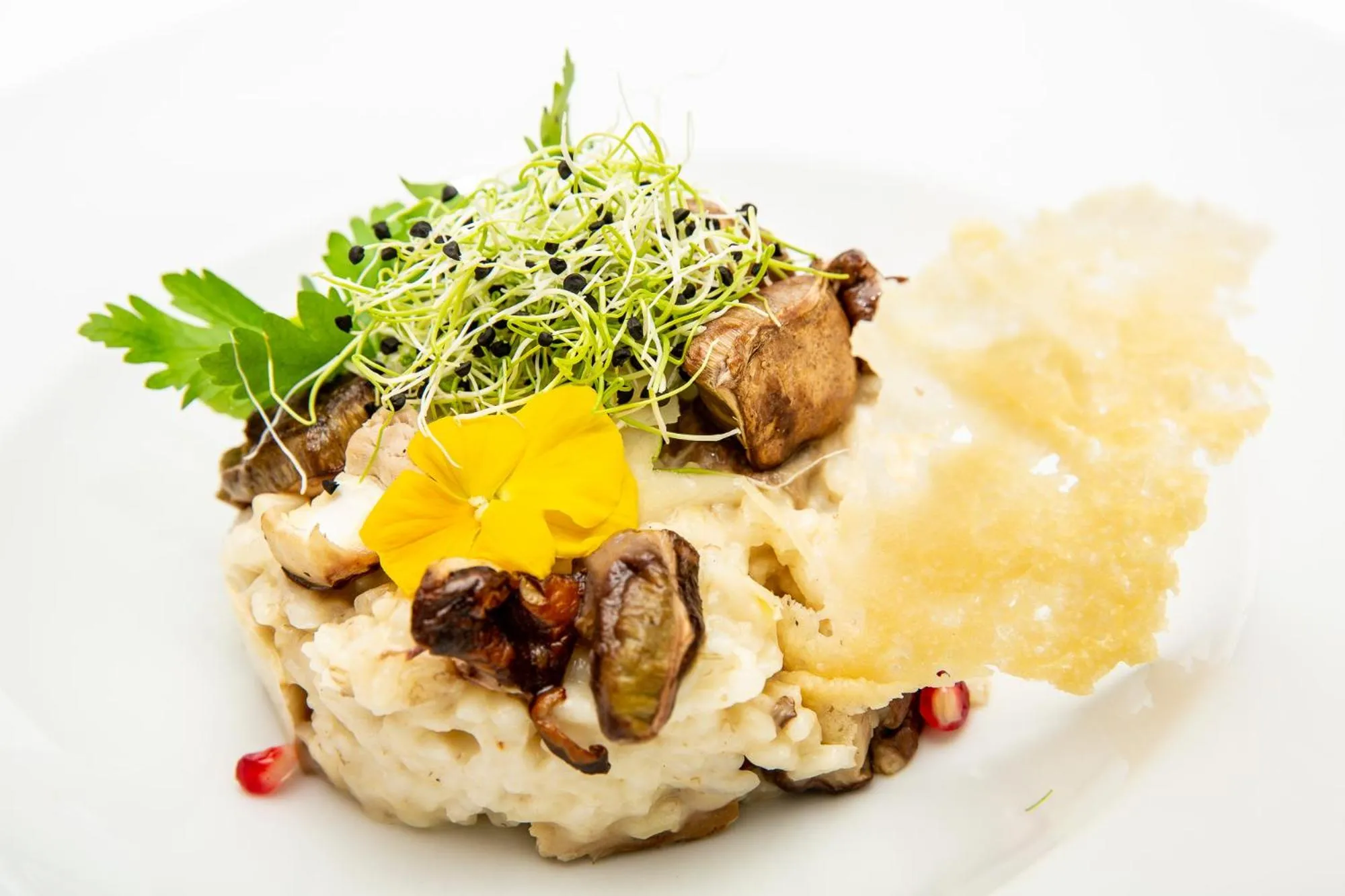 Restaurant/places to eat in Silvretta Parkhotel