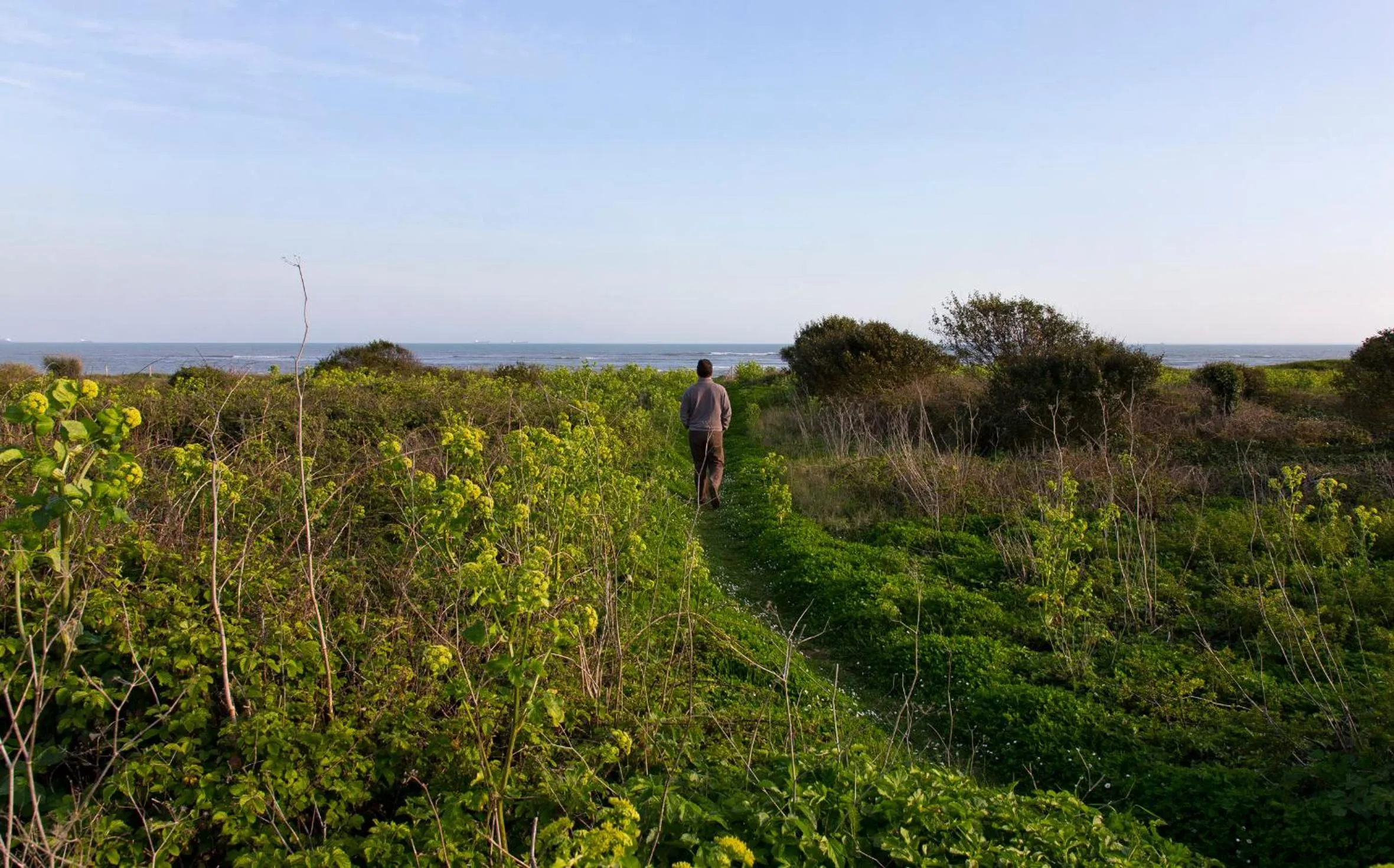 Natural landscape in Hôtel Les Vignes de la Chapelle, "The Originals Relais"