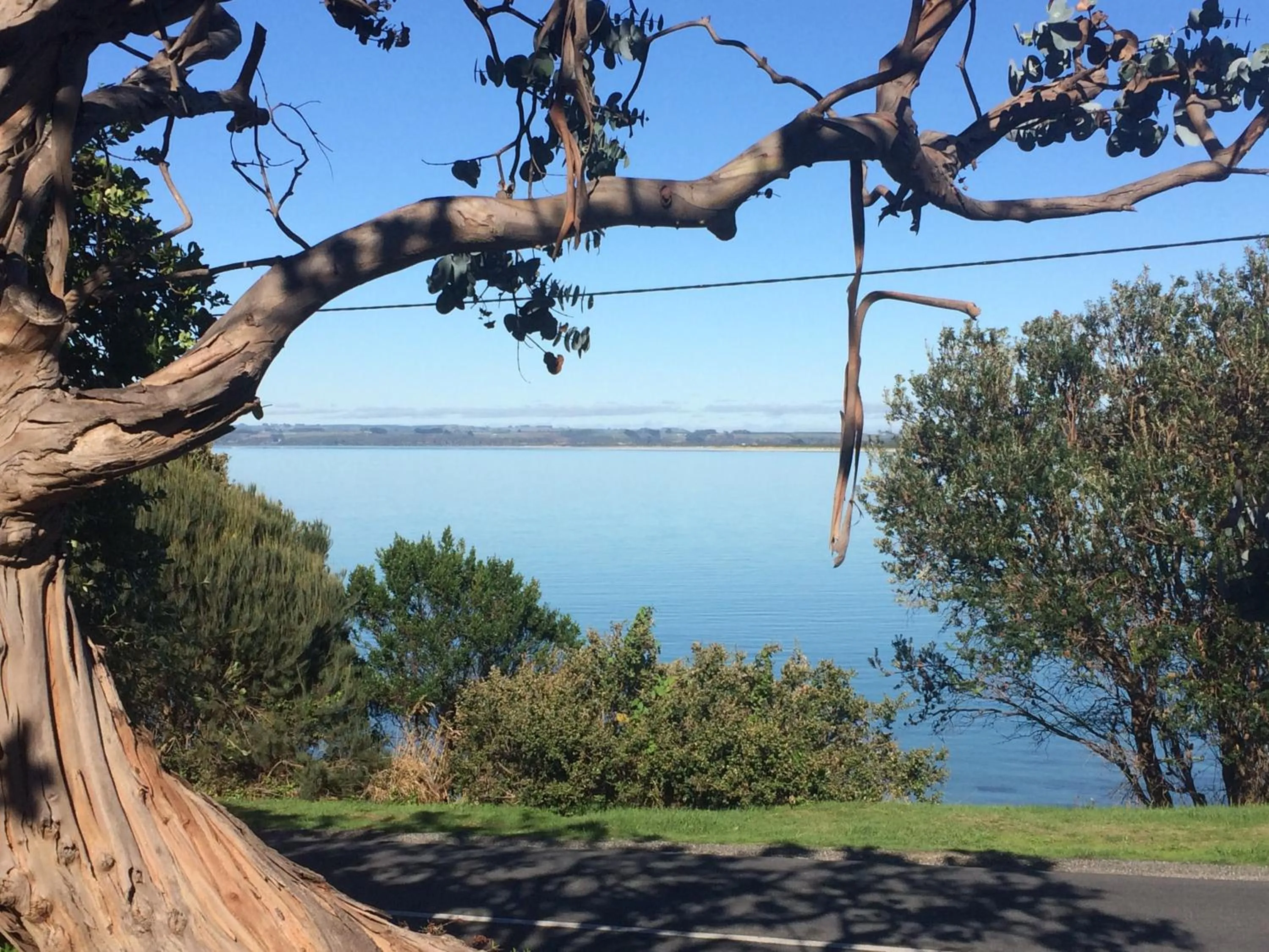 View (from property/room) in The Ark Stanley Luxury Bed and Breakfast