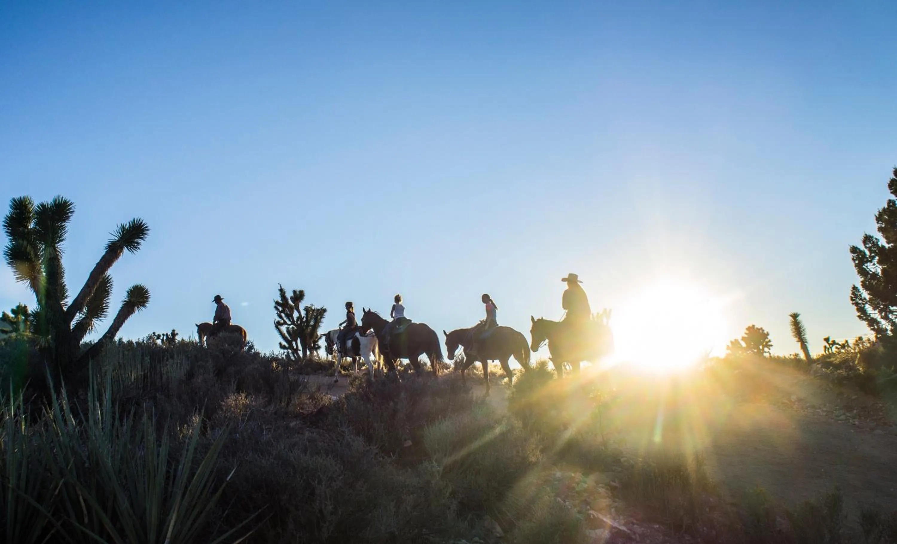 Horse-riding in Grand Canyon Western Ranch