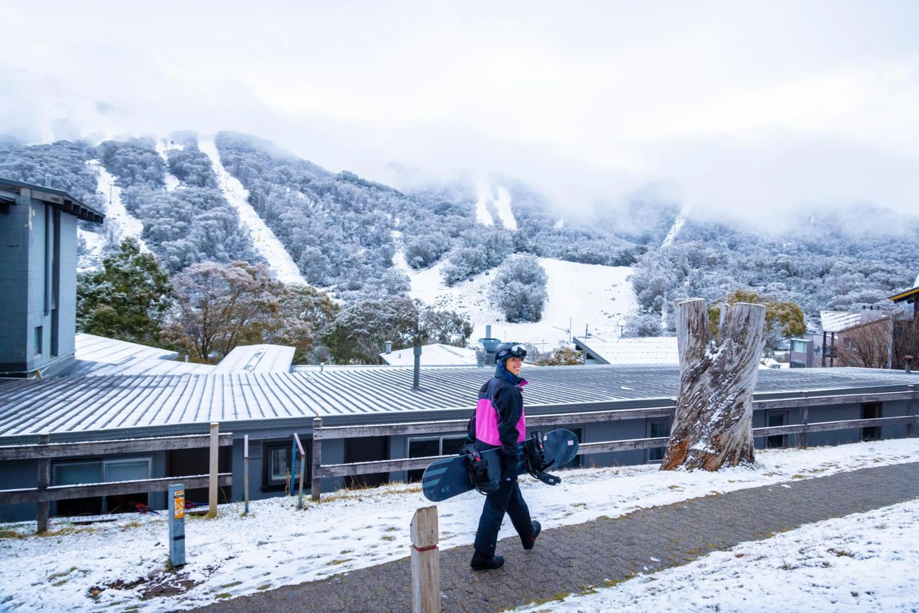 View (from property/room) in YHA Thredbo