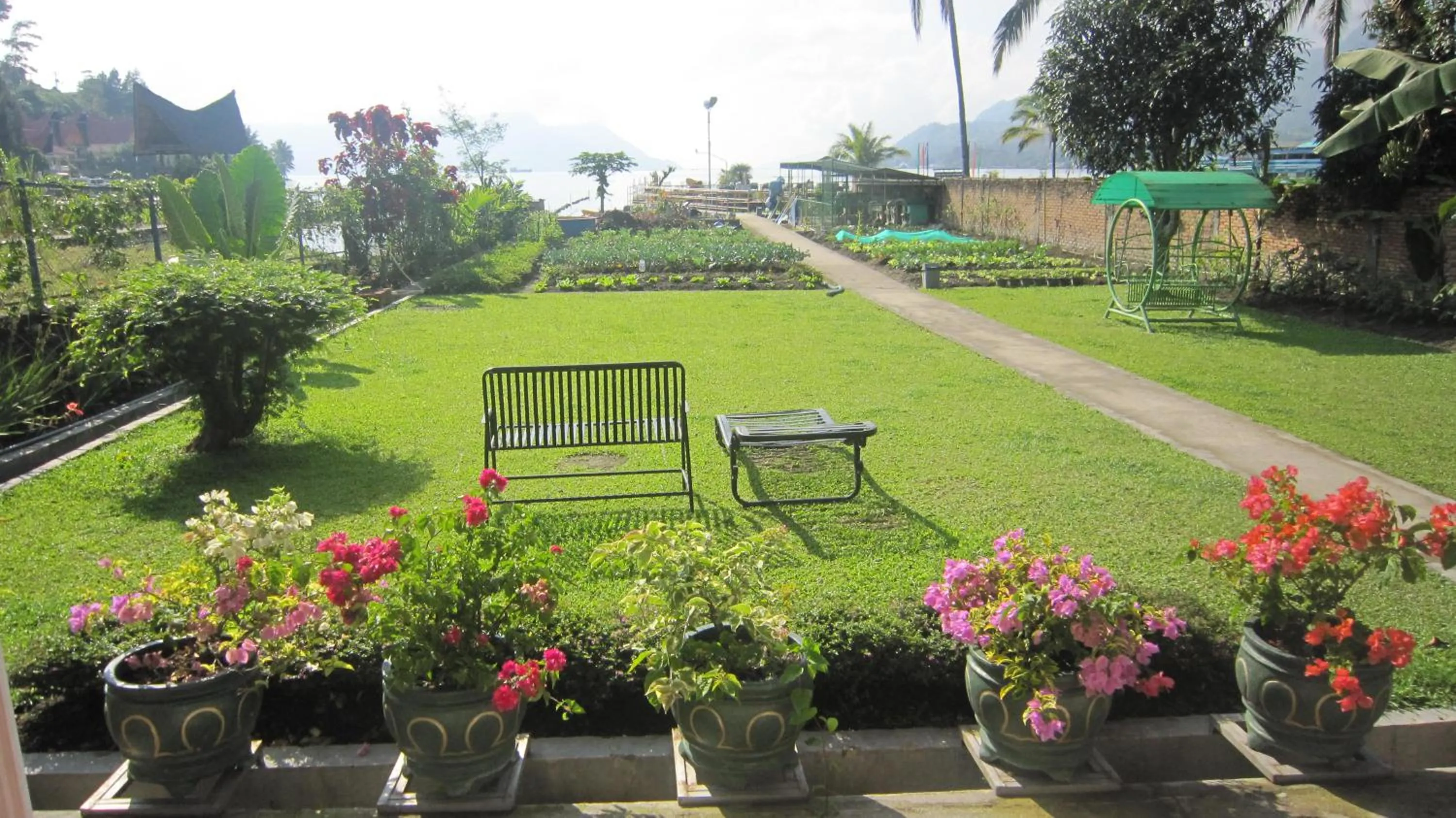 Garden in Horas Family Home