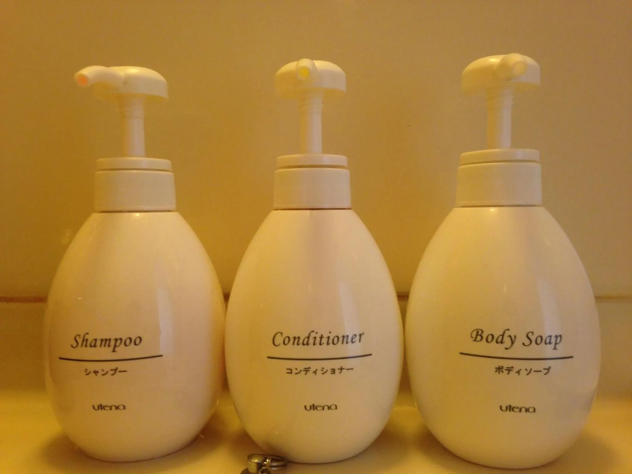 Decorative detail in Select Inn Yonezawa