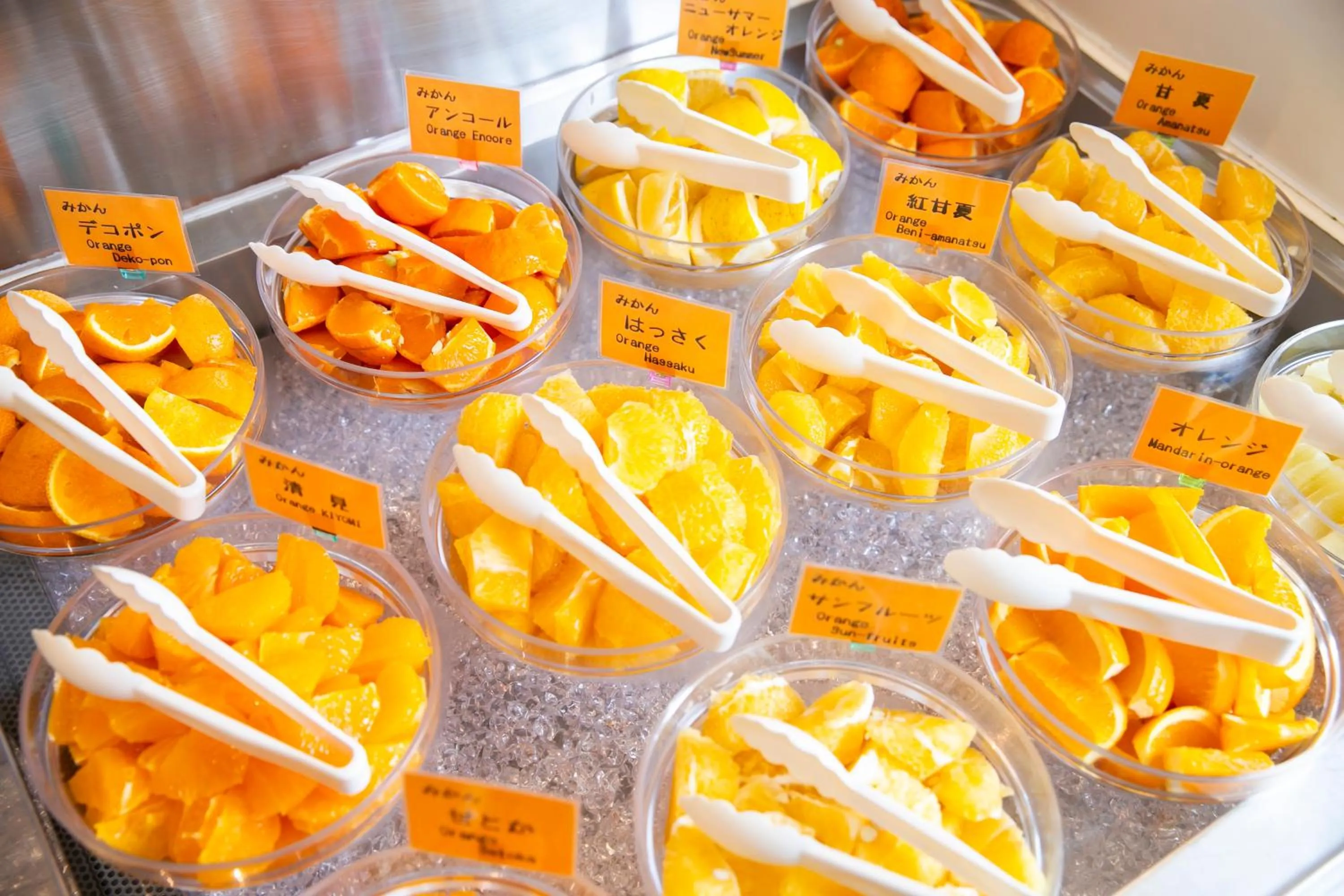 Breakfast in DogoYaya