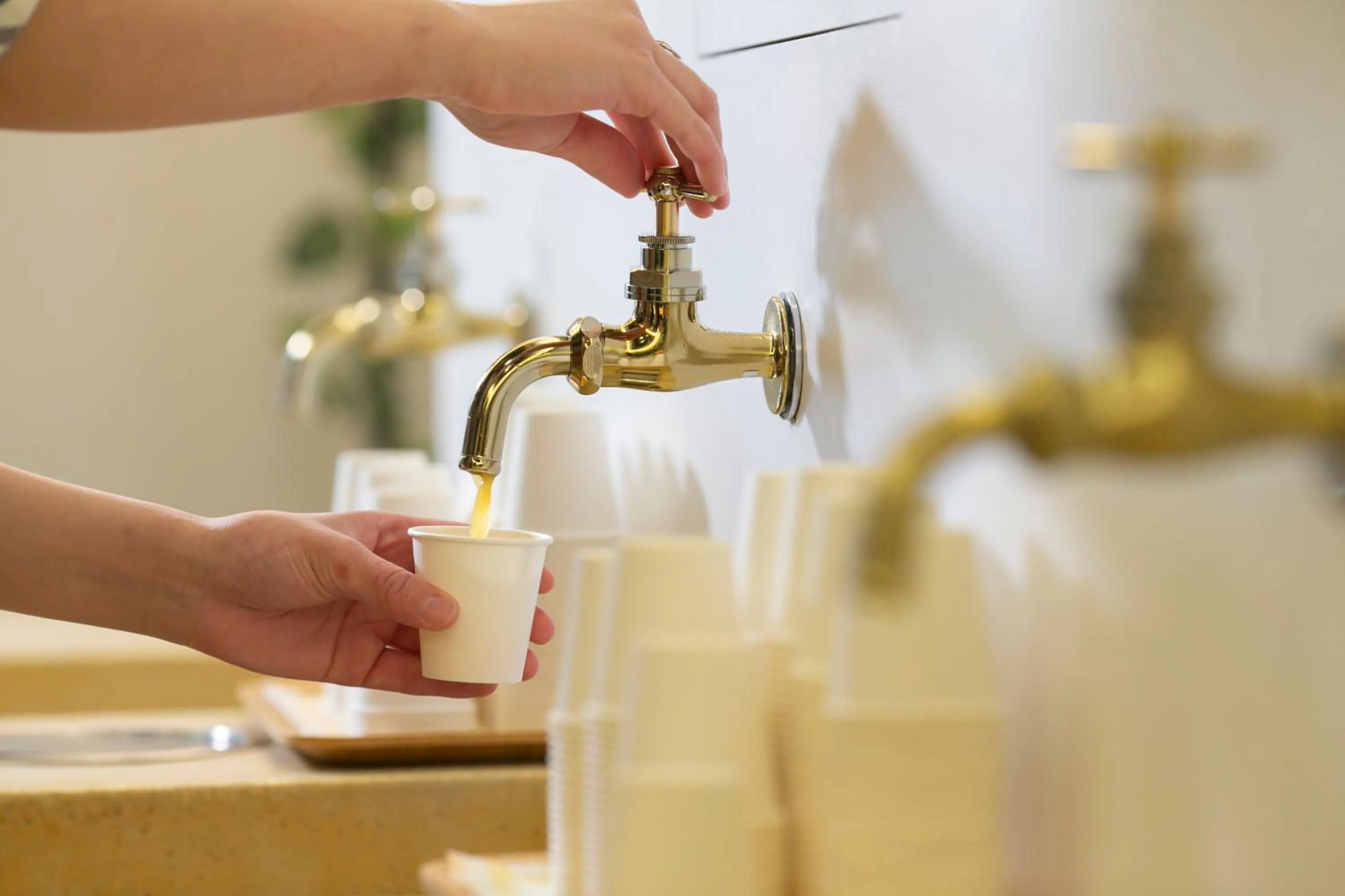 Food and drinks in DogoYaya