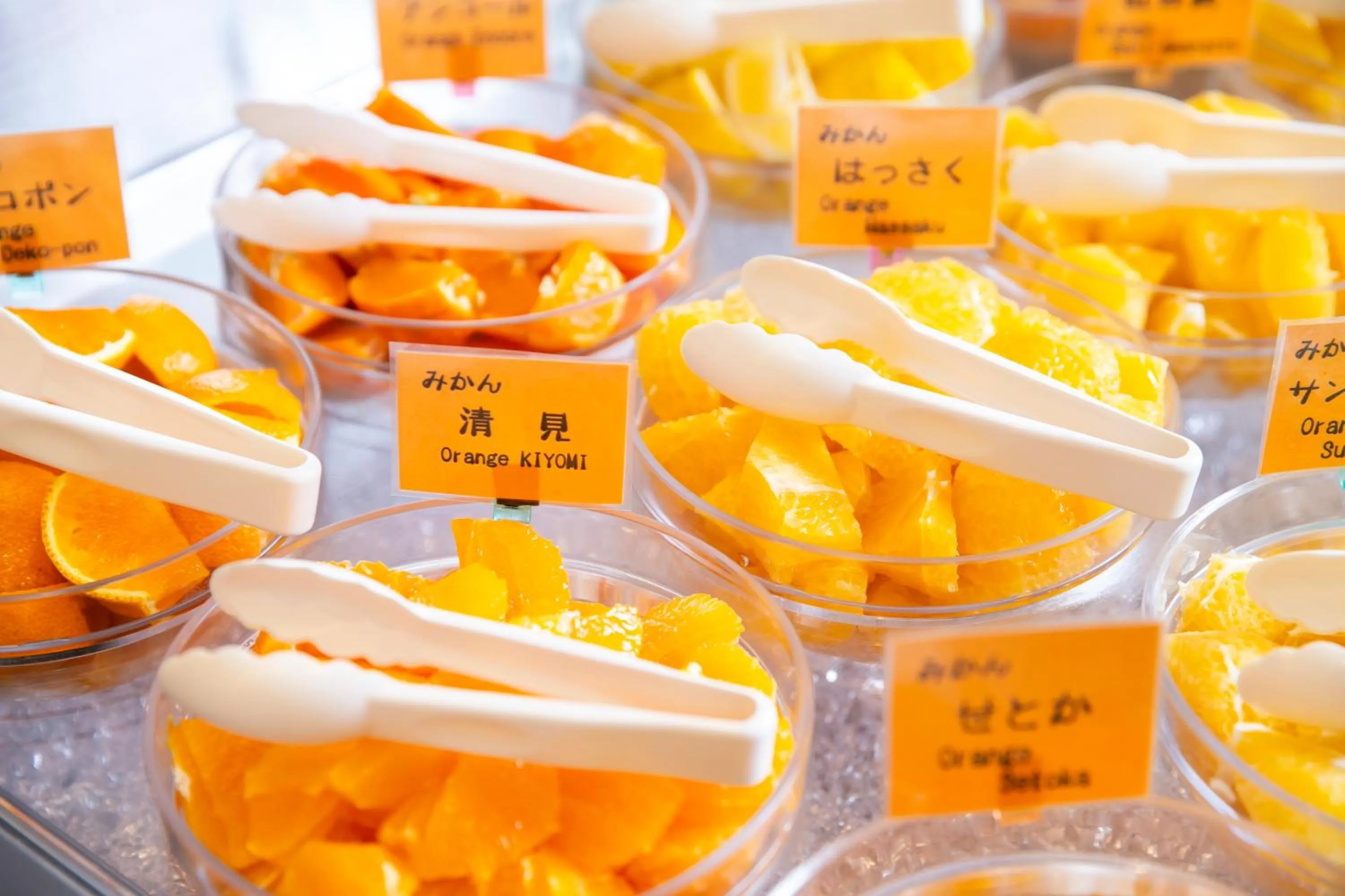 Breakfast in DogoYaya