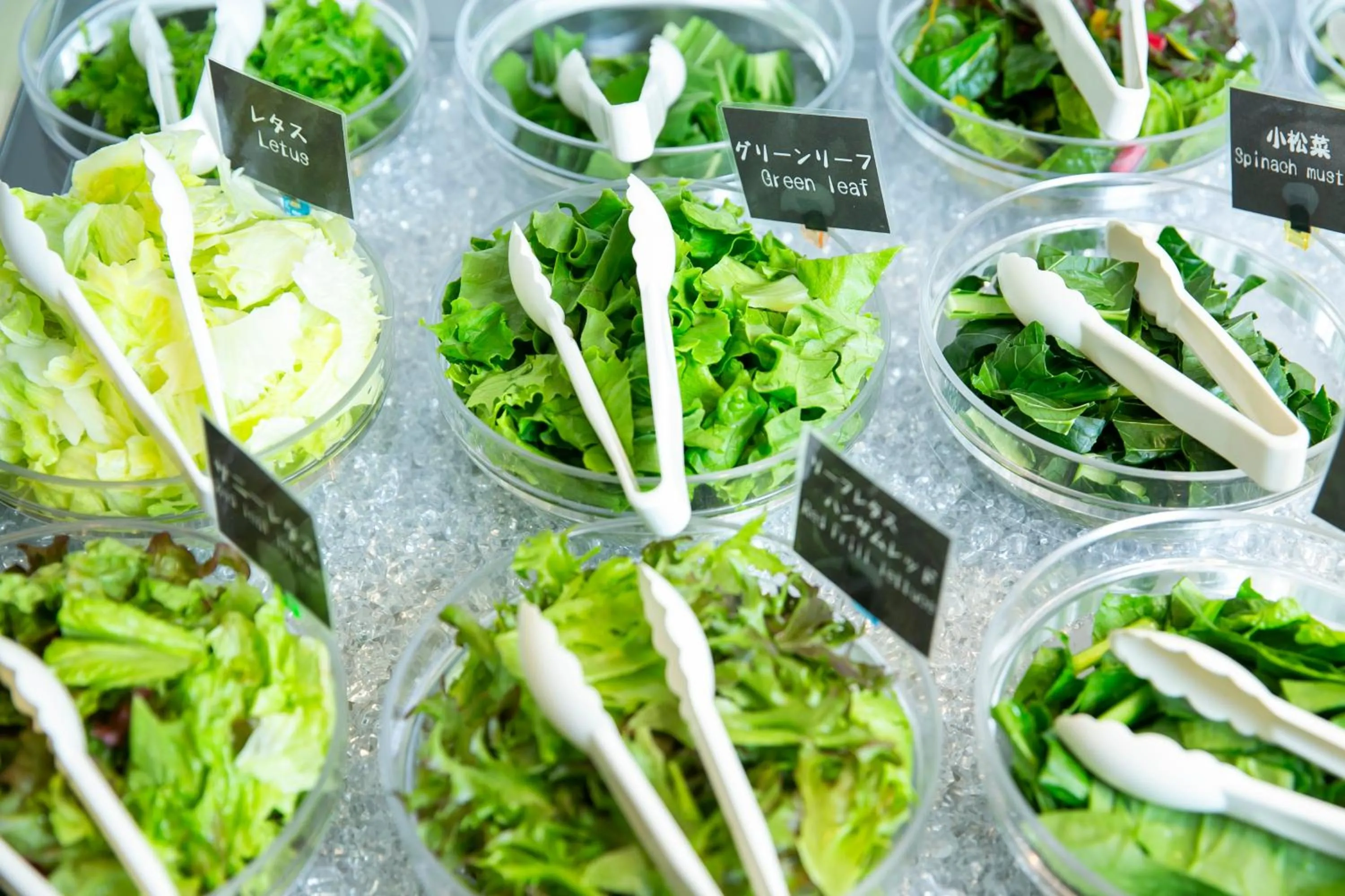 Breakfast in DogoYaya