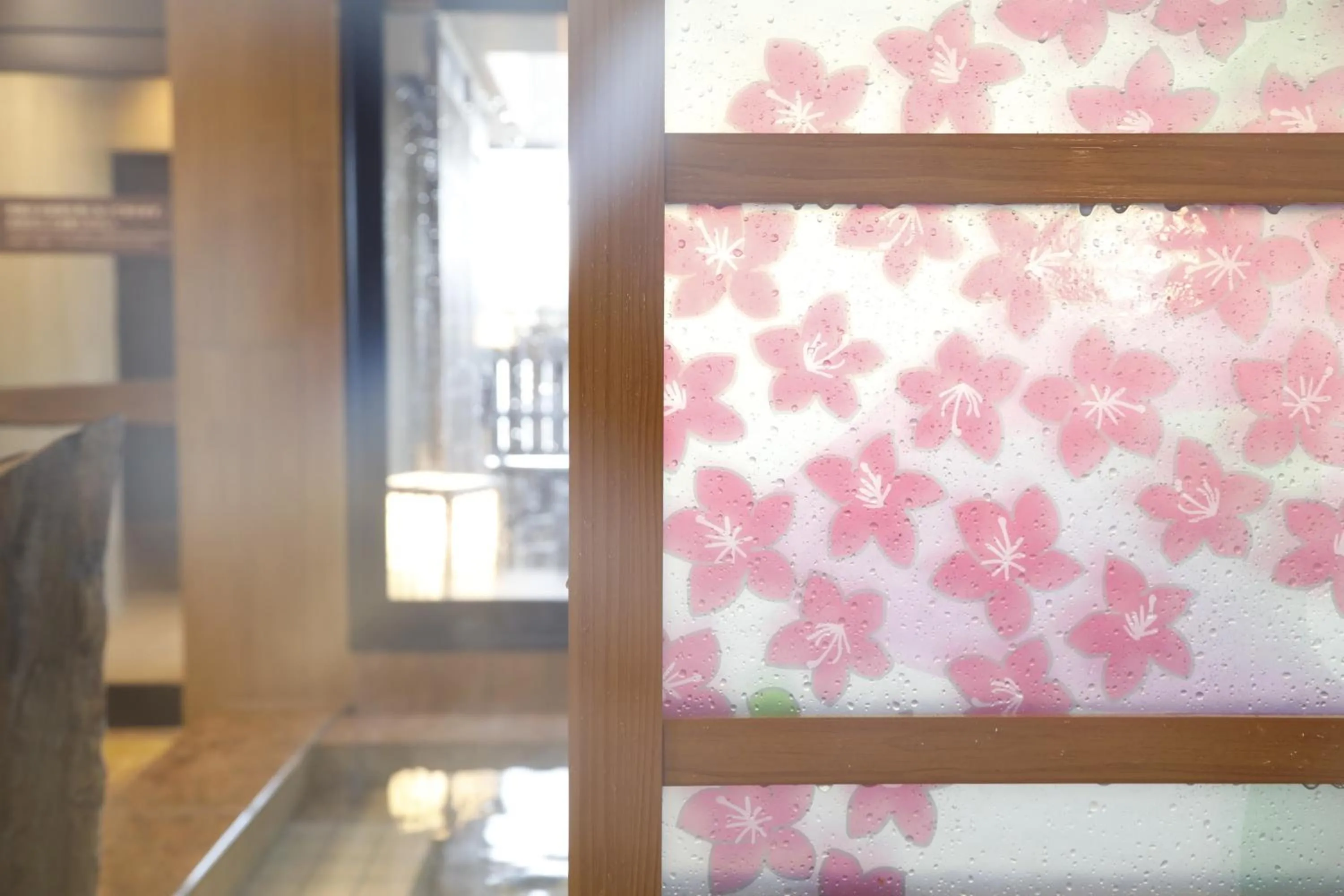 Hot Spring Bath in Dormy Inn Maebashi