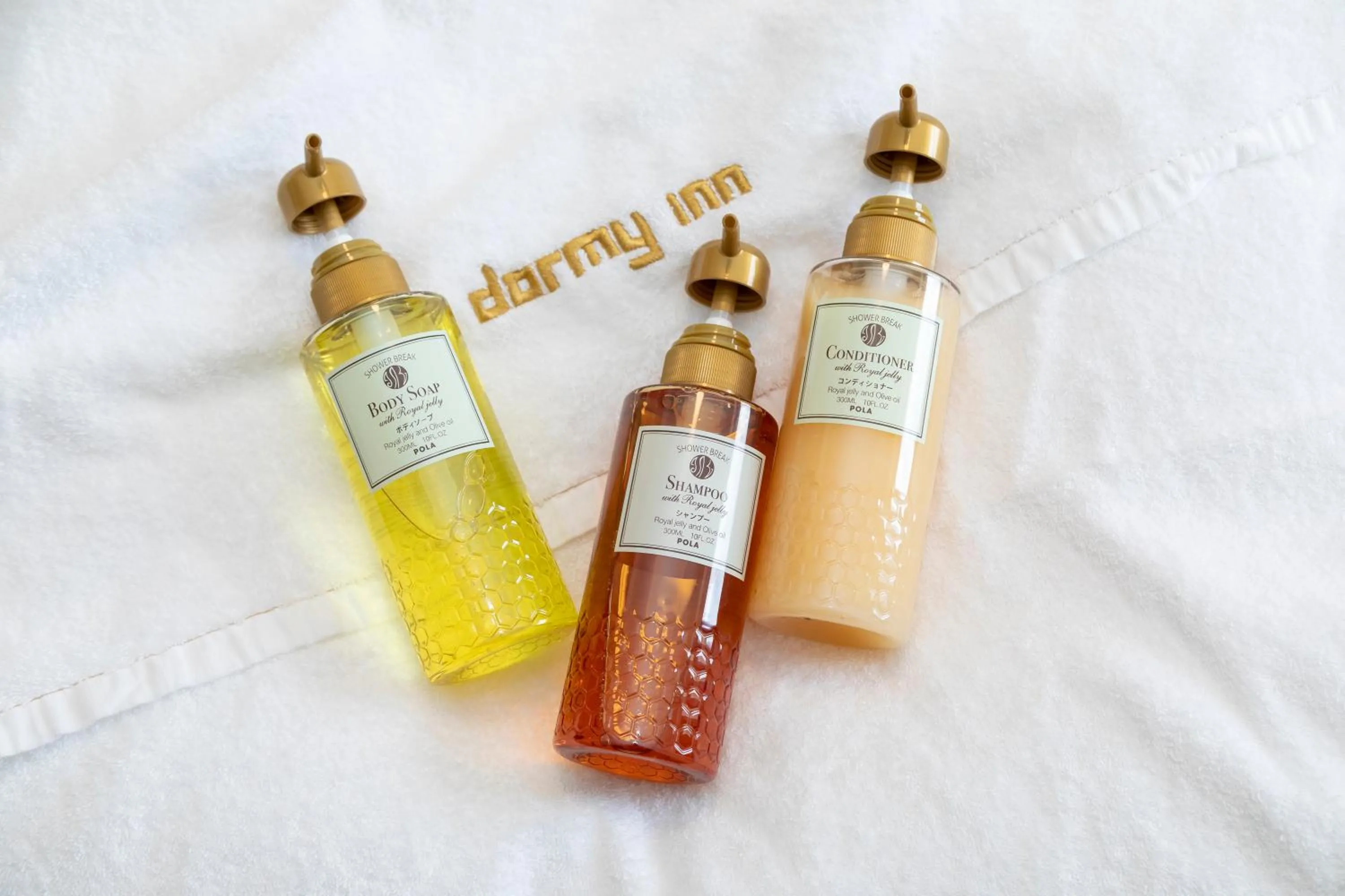 Other in Dormy Inn Maebashi