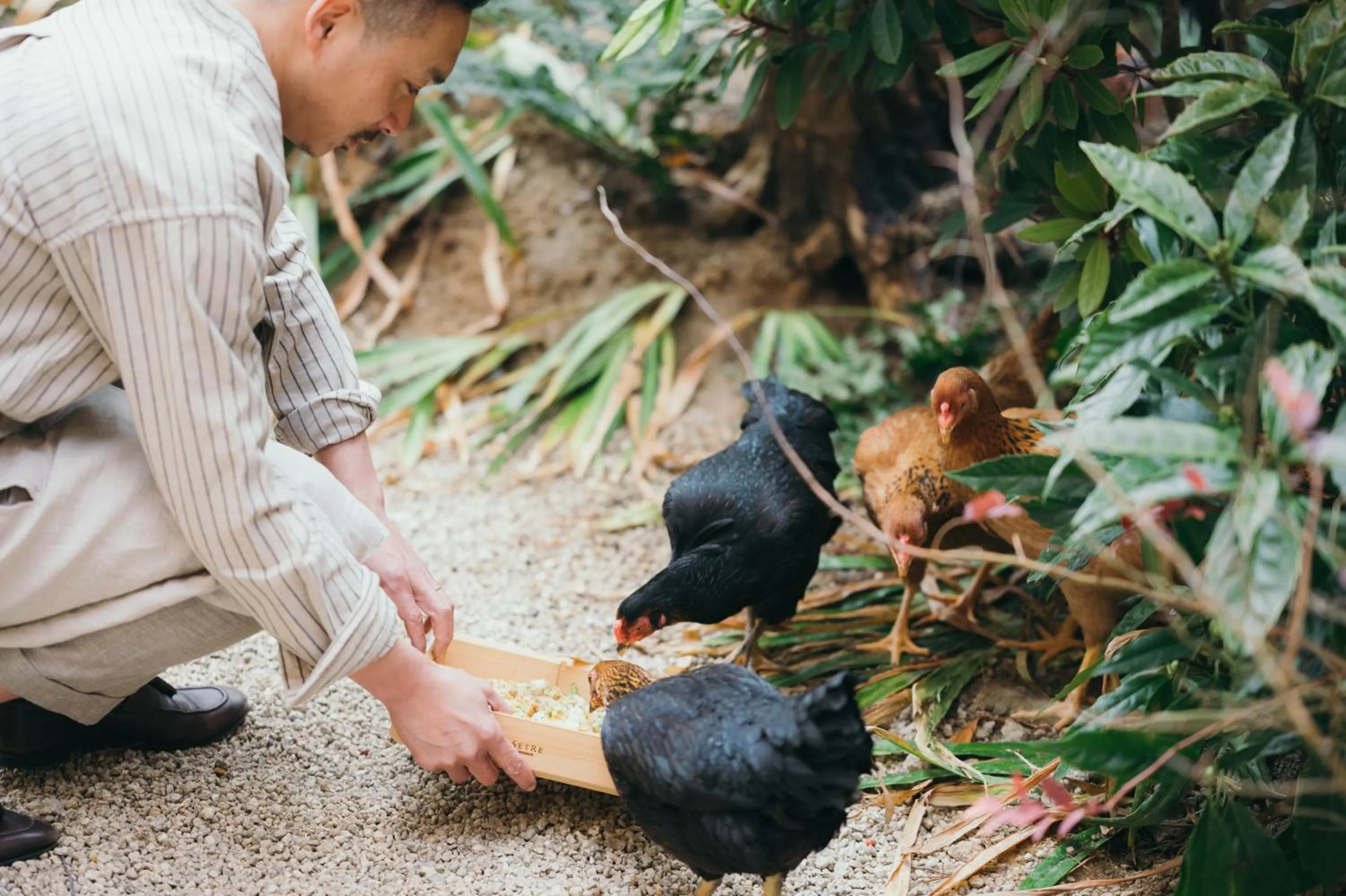 SETRE Naramachi セトレ ならまち