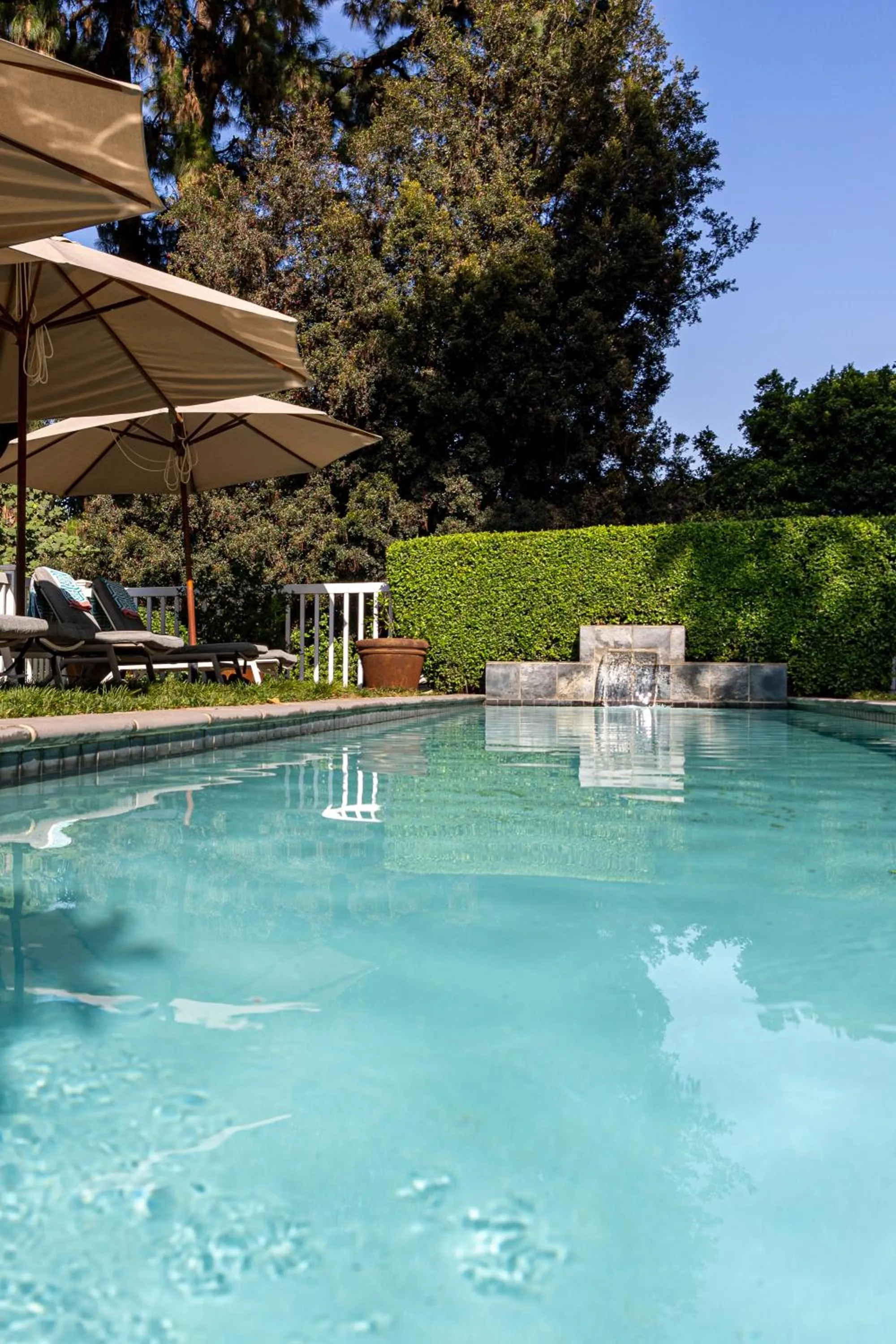 Swimming pool in Hyde Park Guest House