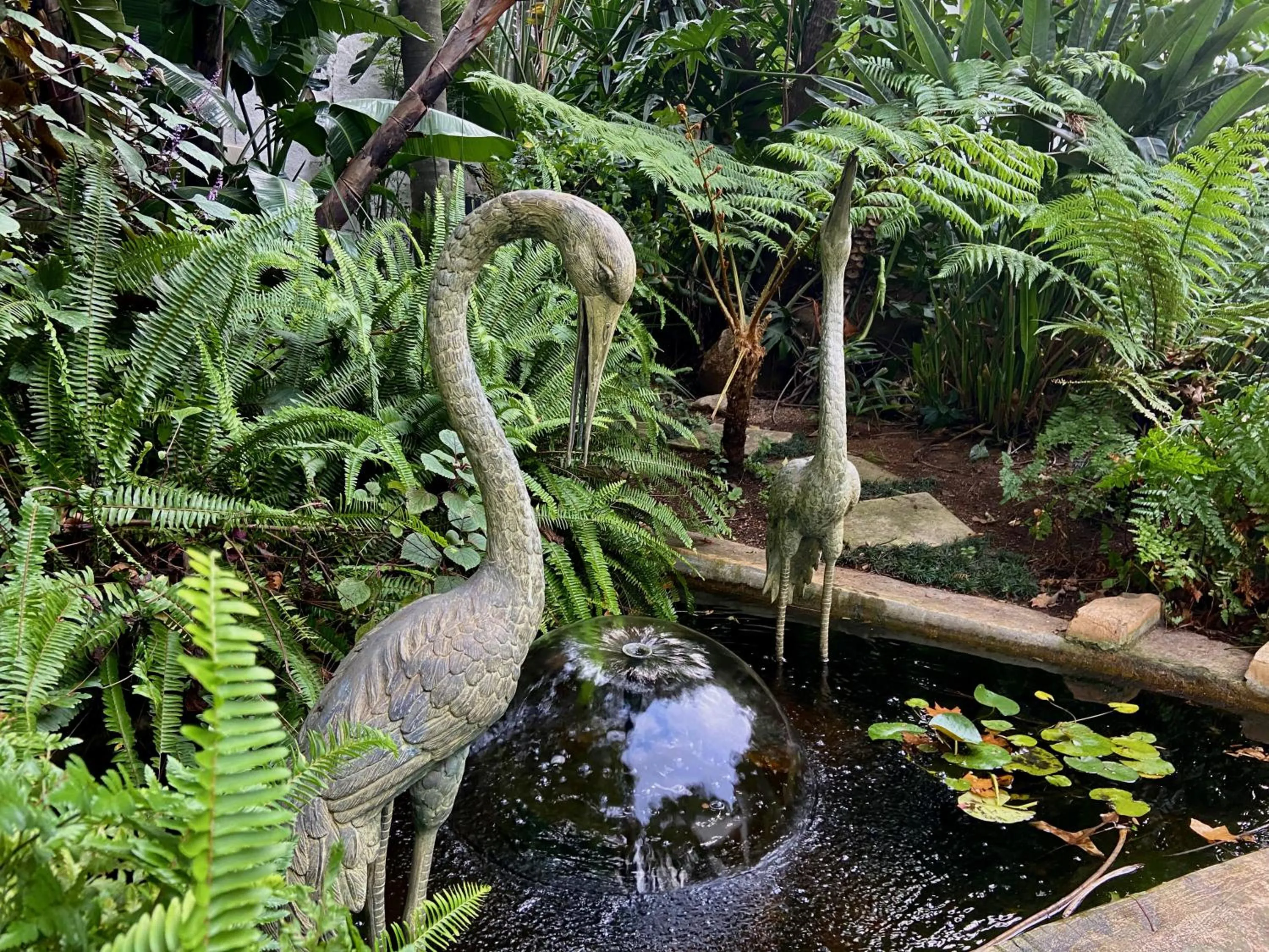 Garden in Hyde Park Guest House