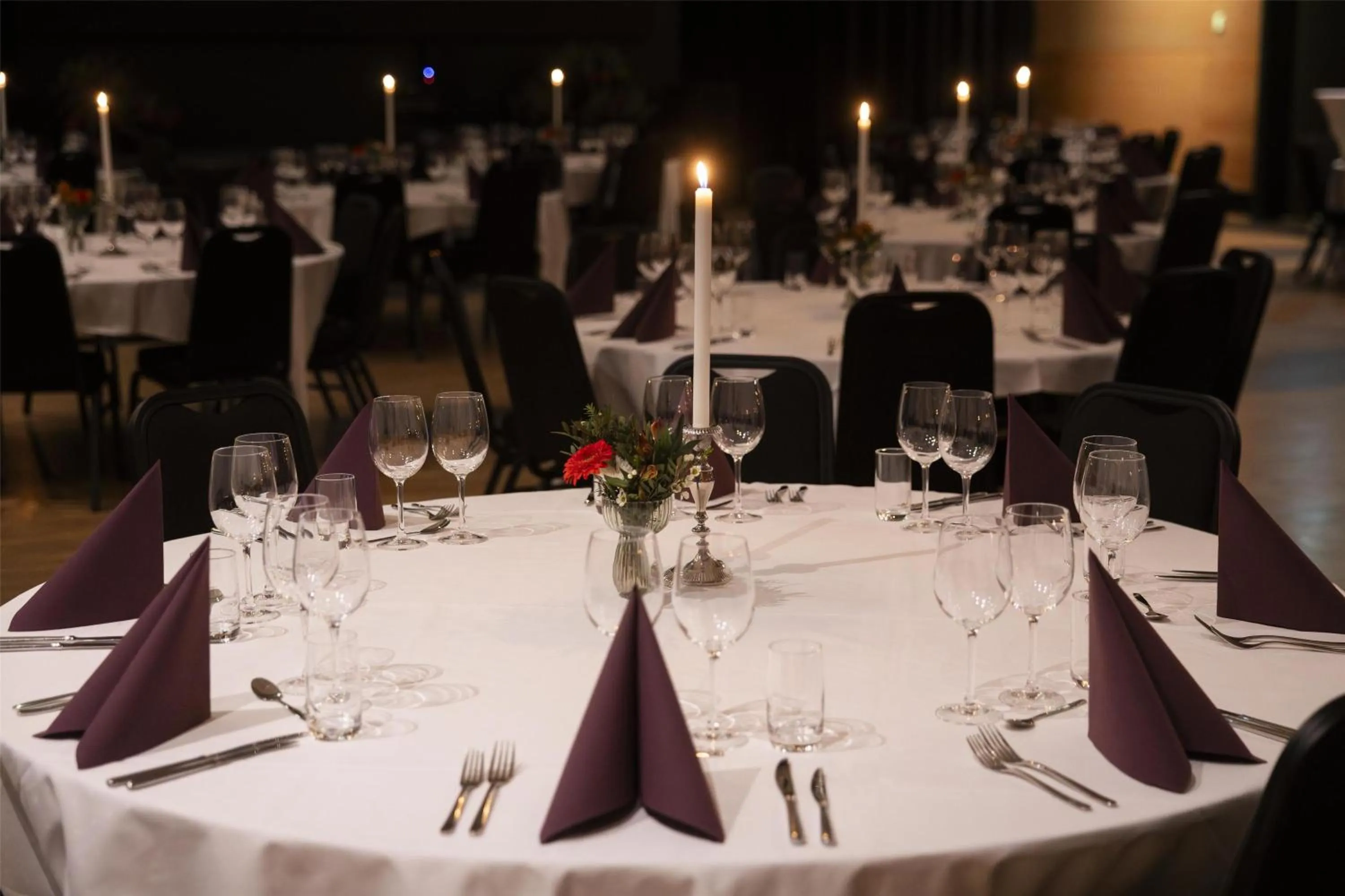 Banquet/Function facilities in Radisson Blu Resort, Trysil