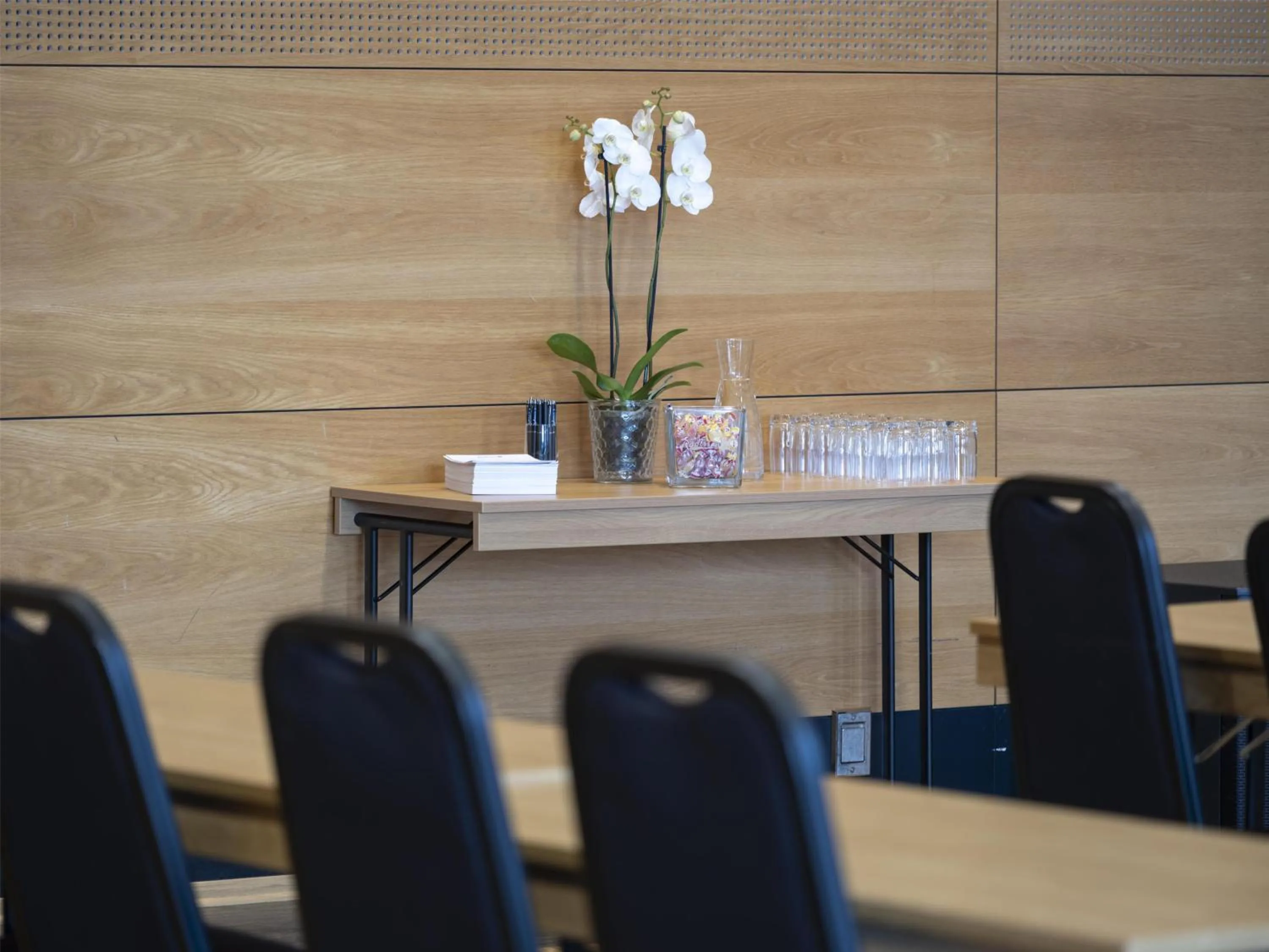 Business facilities in Radisson Blu Resort, Trysil