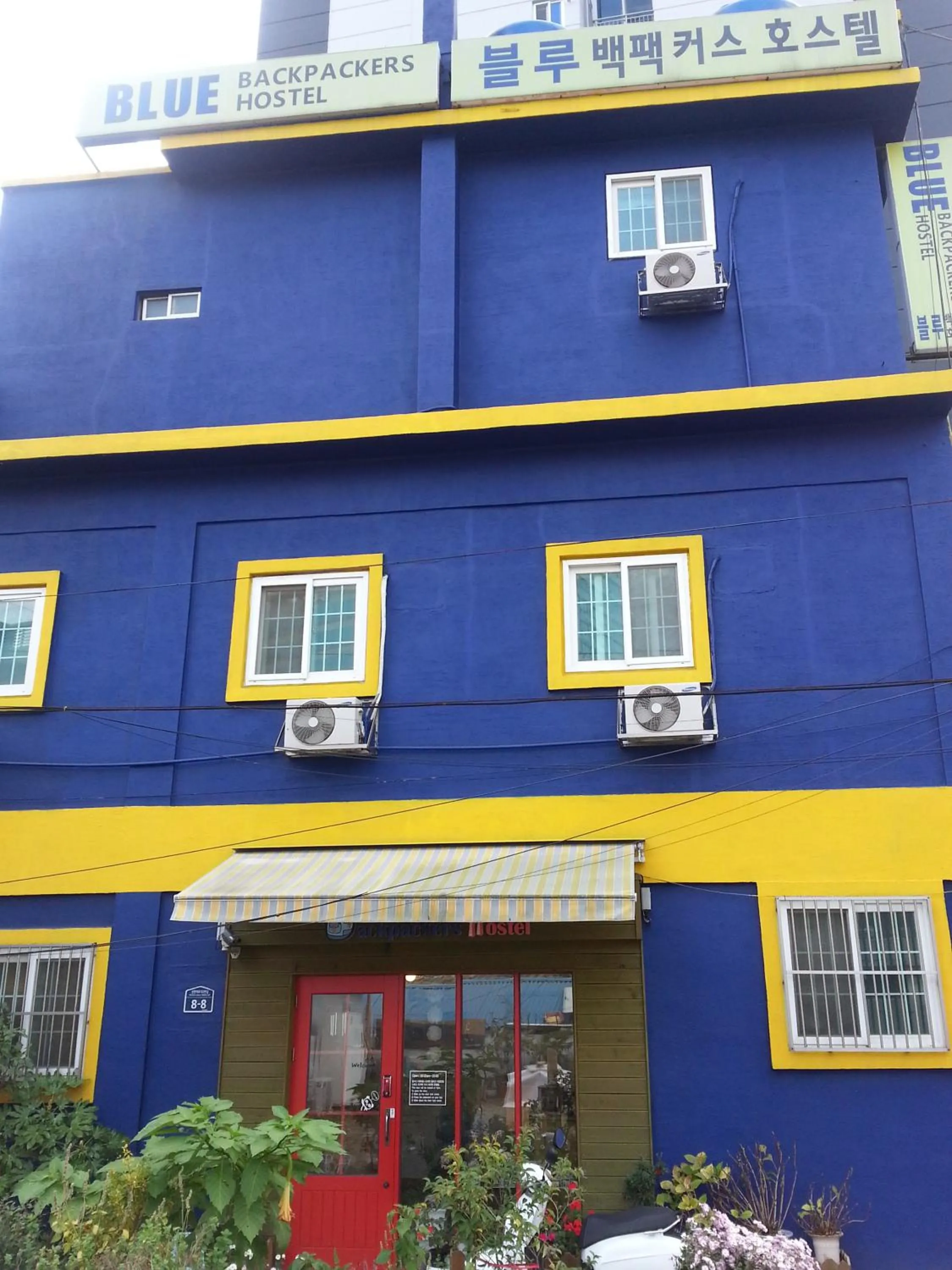 Property building in Blue Backpackers Hostel