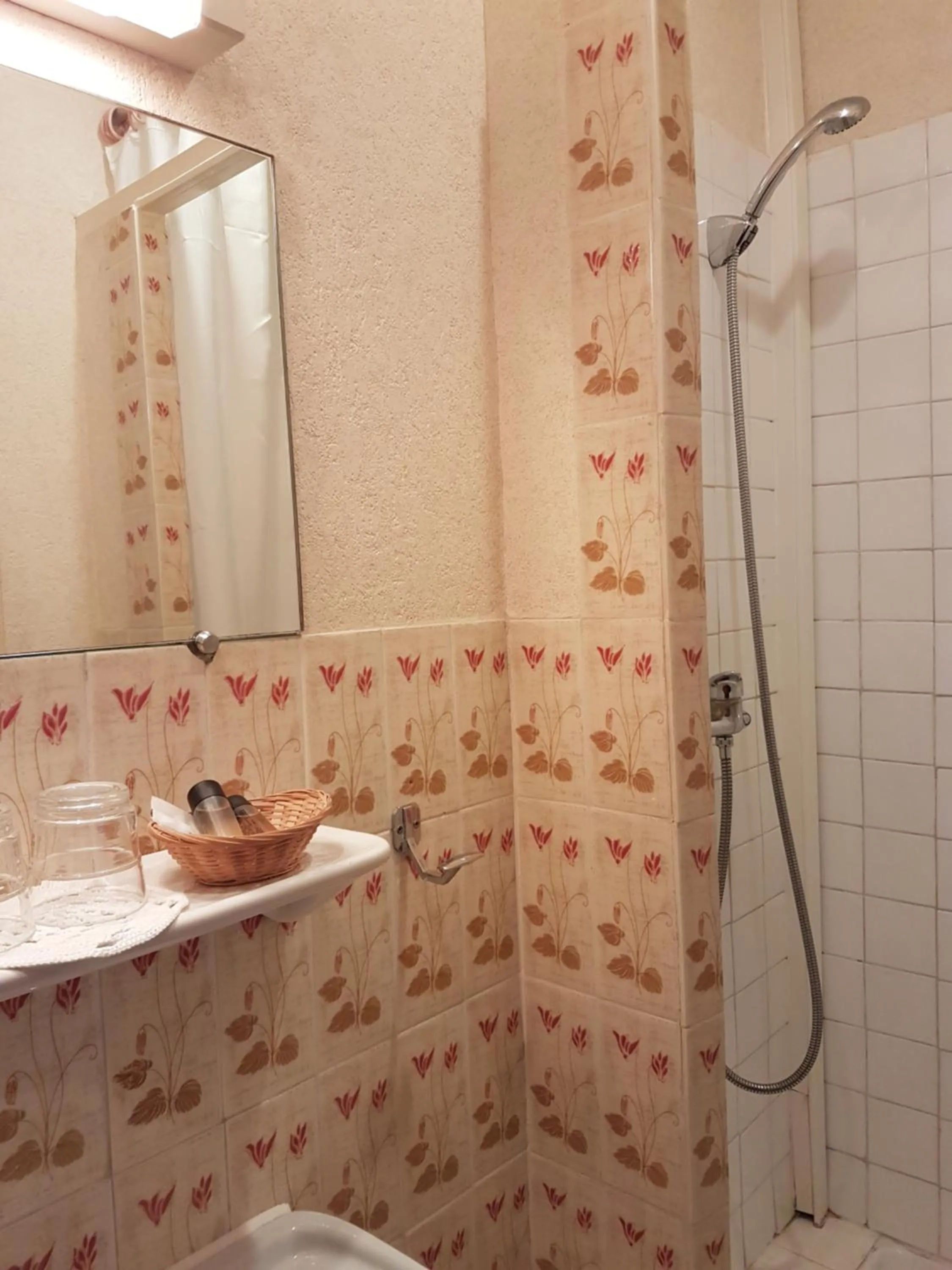 Shower in Hotel Cronstadt