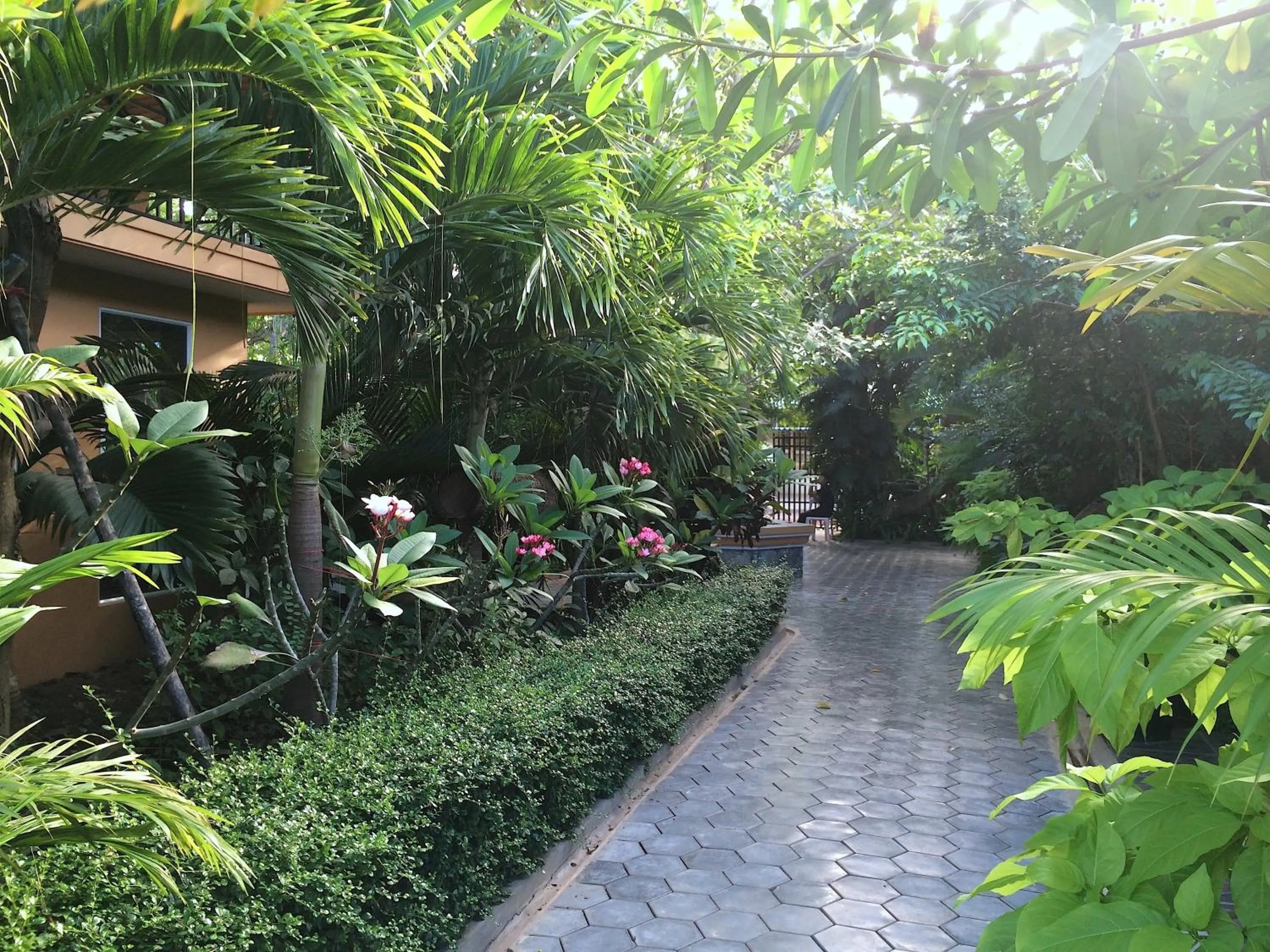 Garden in Delux Villa