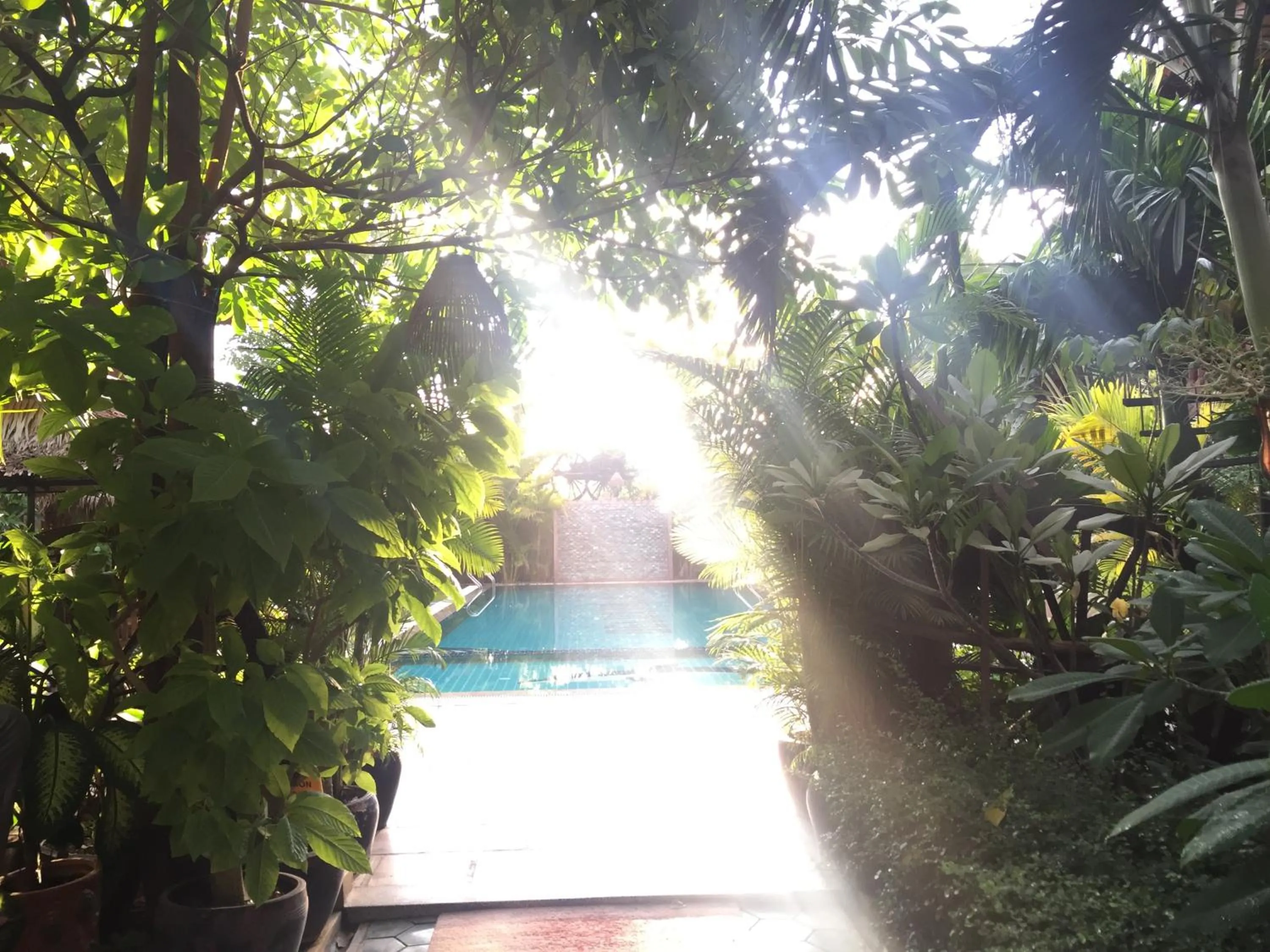 Swimming pool in Delux Villa