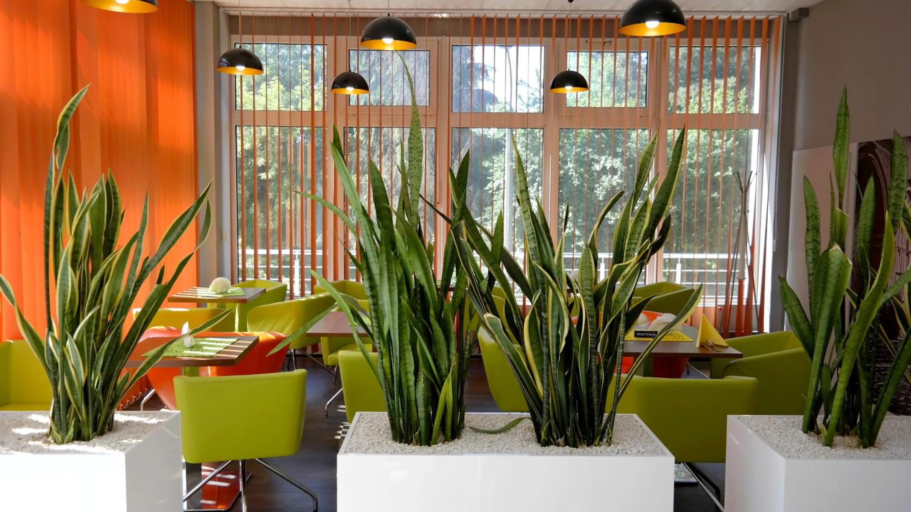 Restaurant/places to eat in Hotel Krakowiak