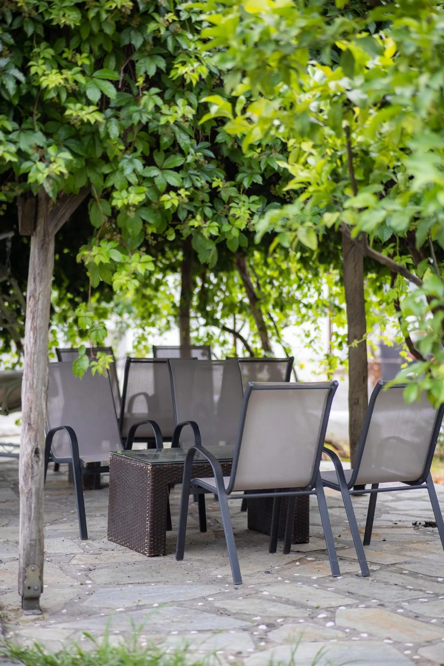 Garden in Seralis Pelion