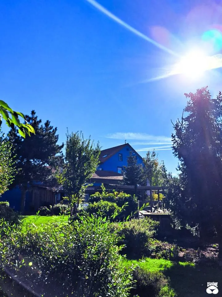 Property building in L'Usine