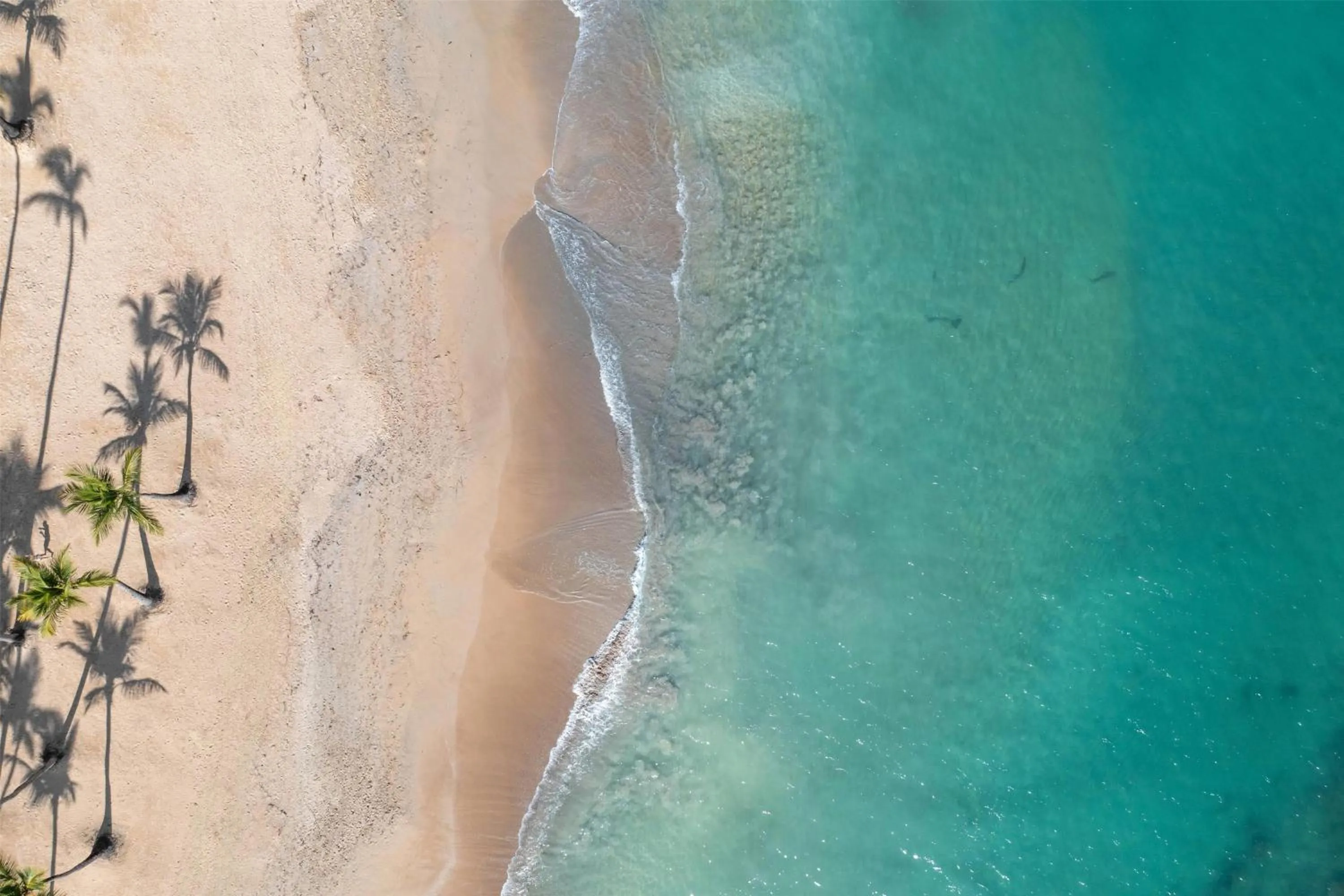 Other in Wyndham Alltra Punta Cana All Inclusive Resort