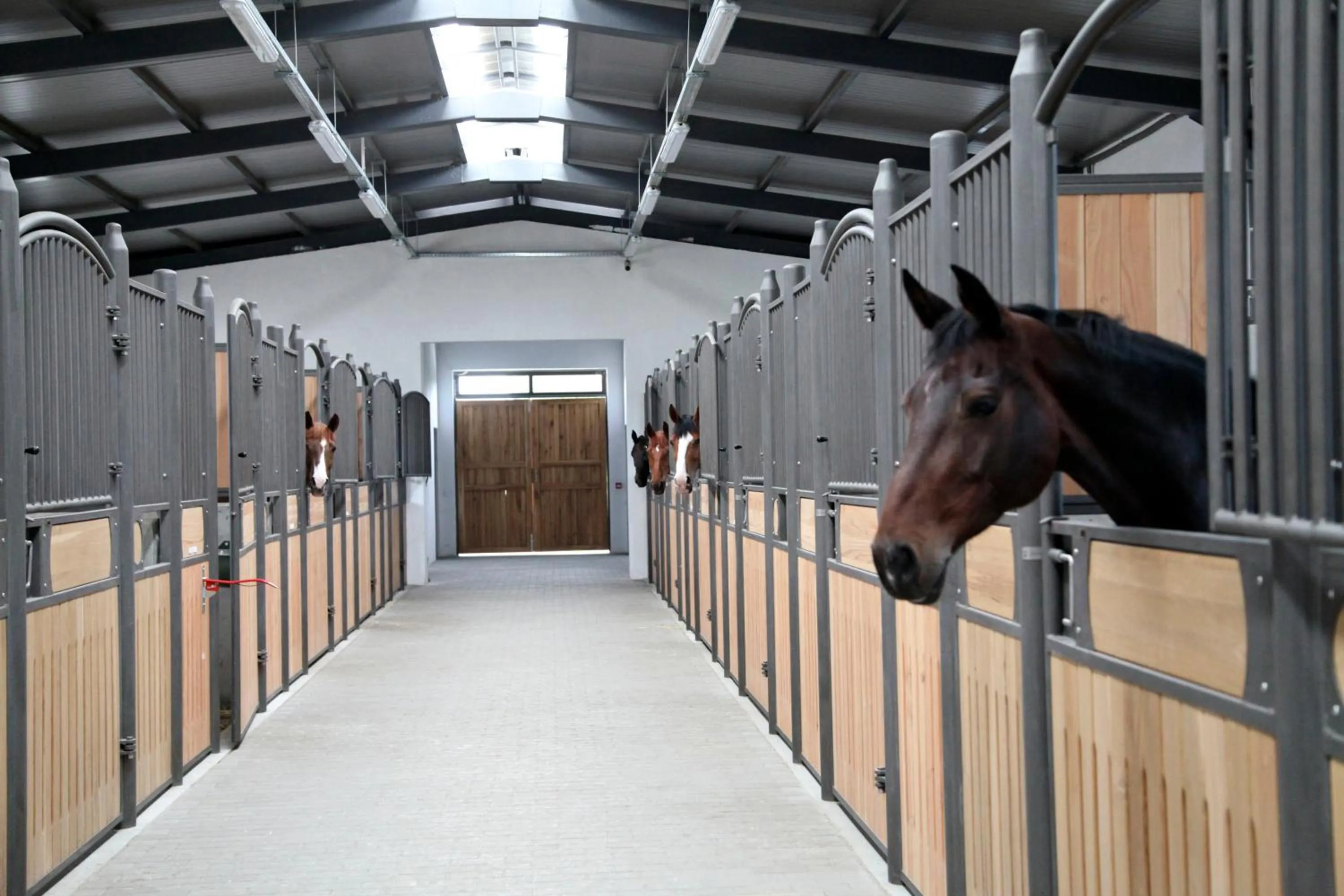 Horse-riding in Boutique Complex Trakiets