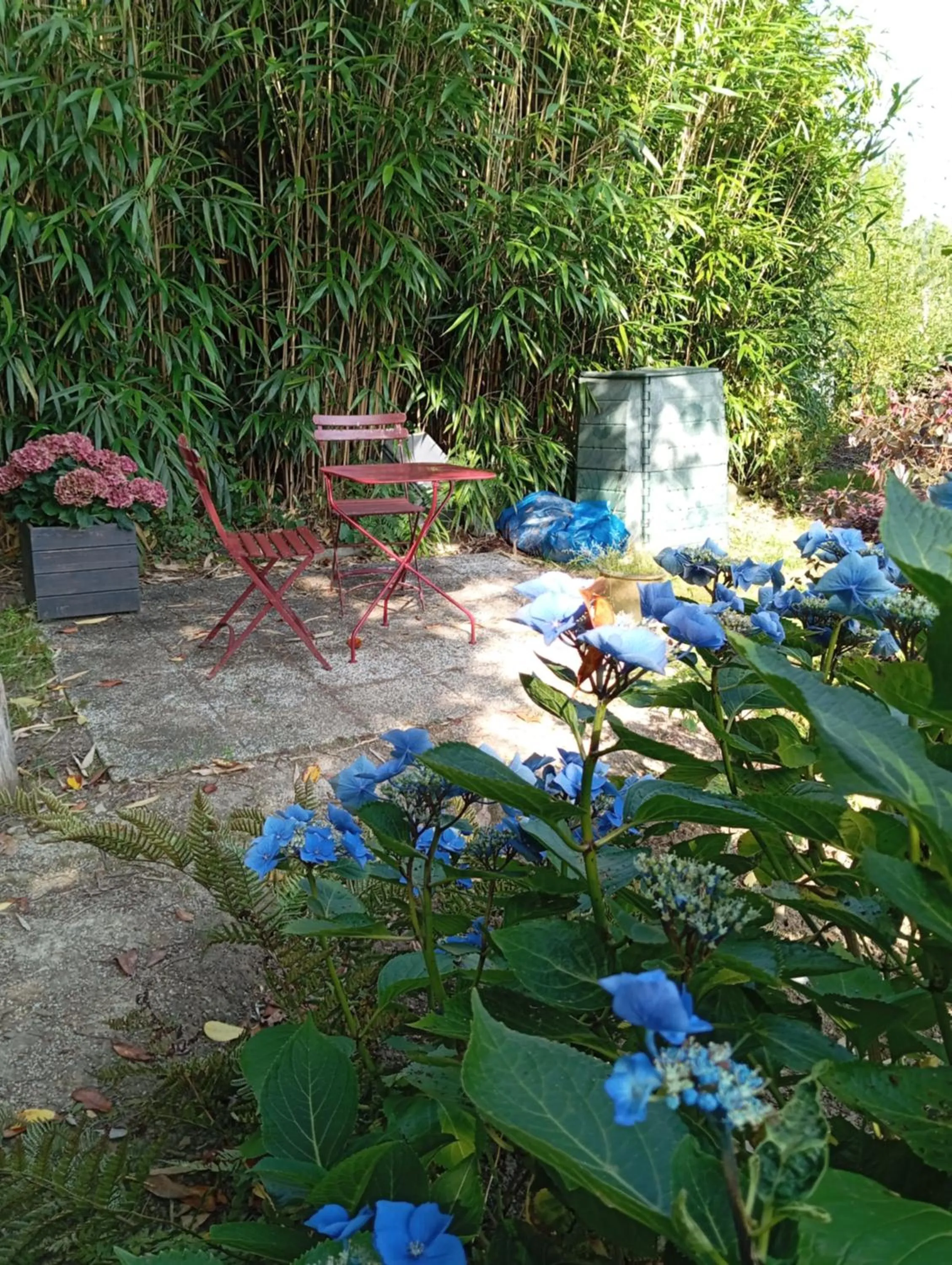 Garden in Ker Adsav o'naturel