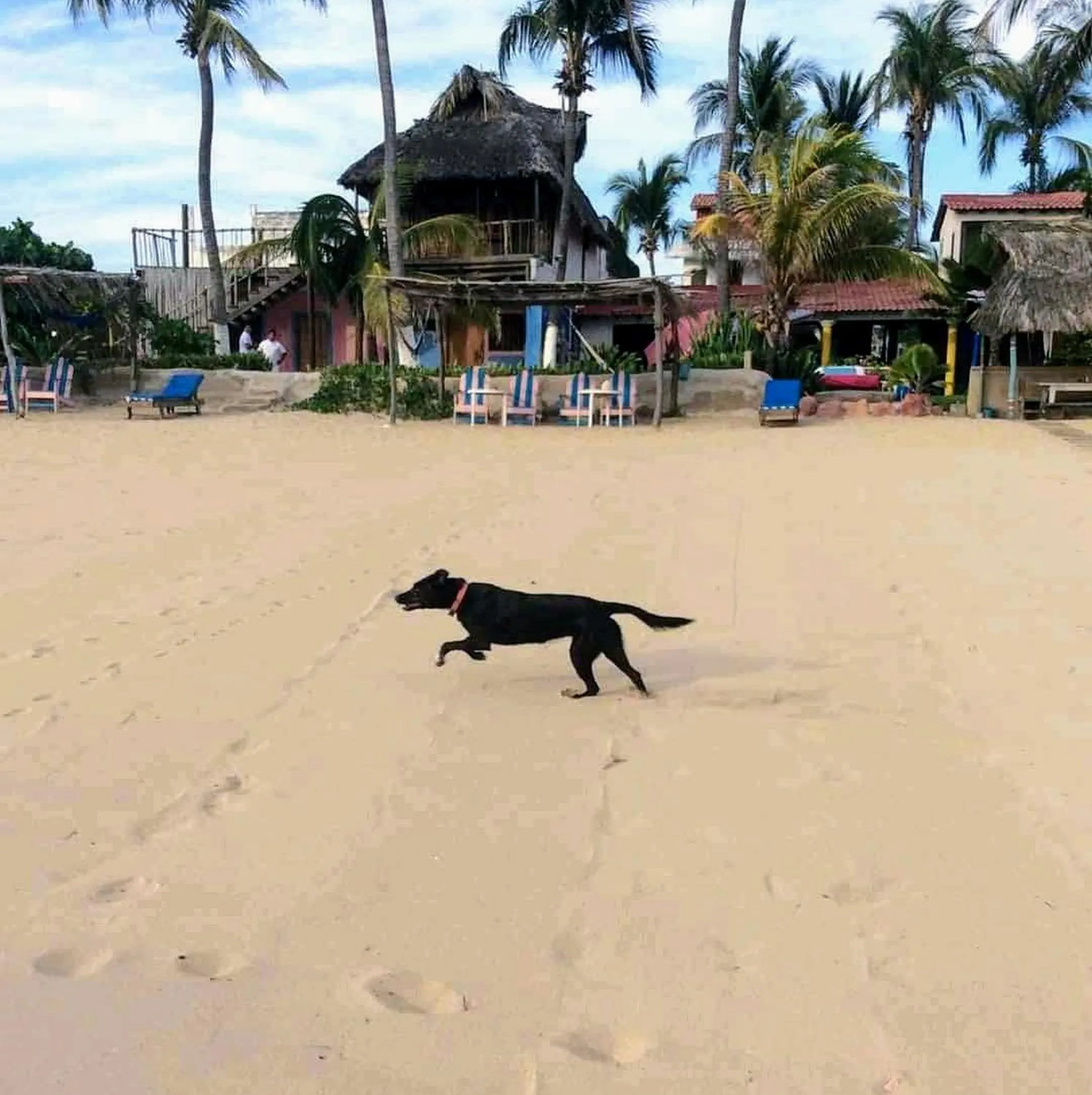 Beach in Hotel Gilda