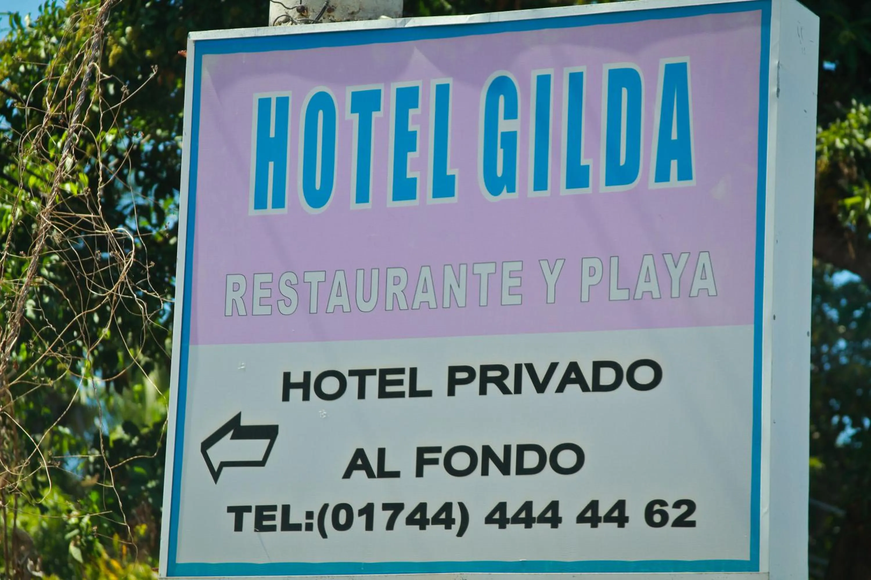Facade/entrance in Hotel Gilda