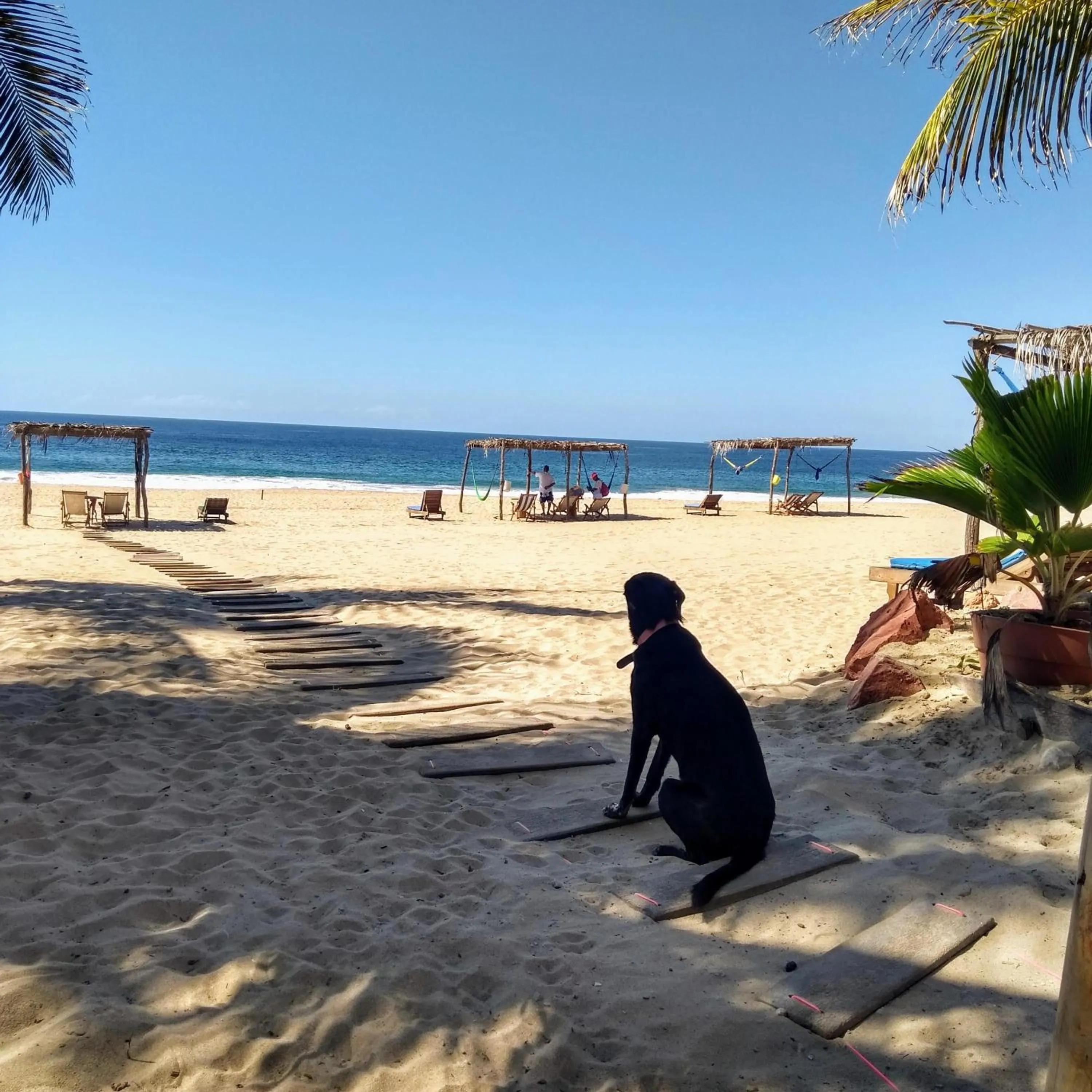 Activities in Hotel Gilda