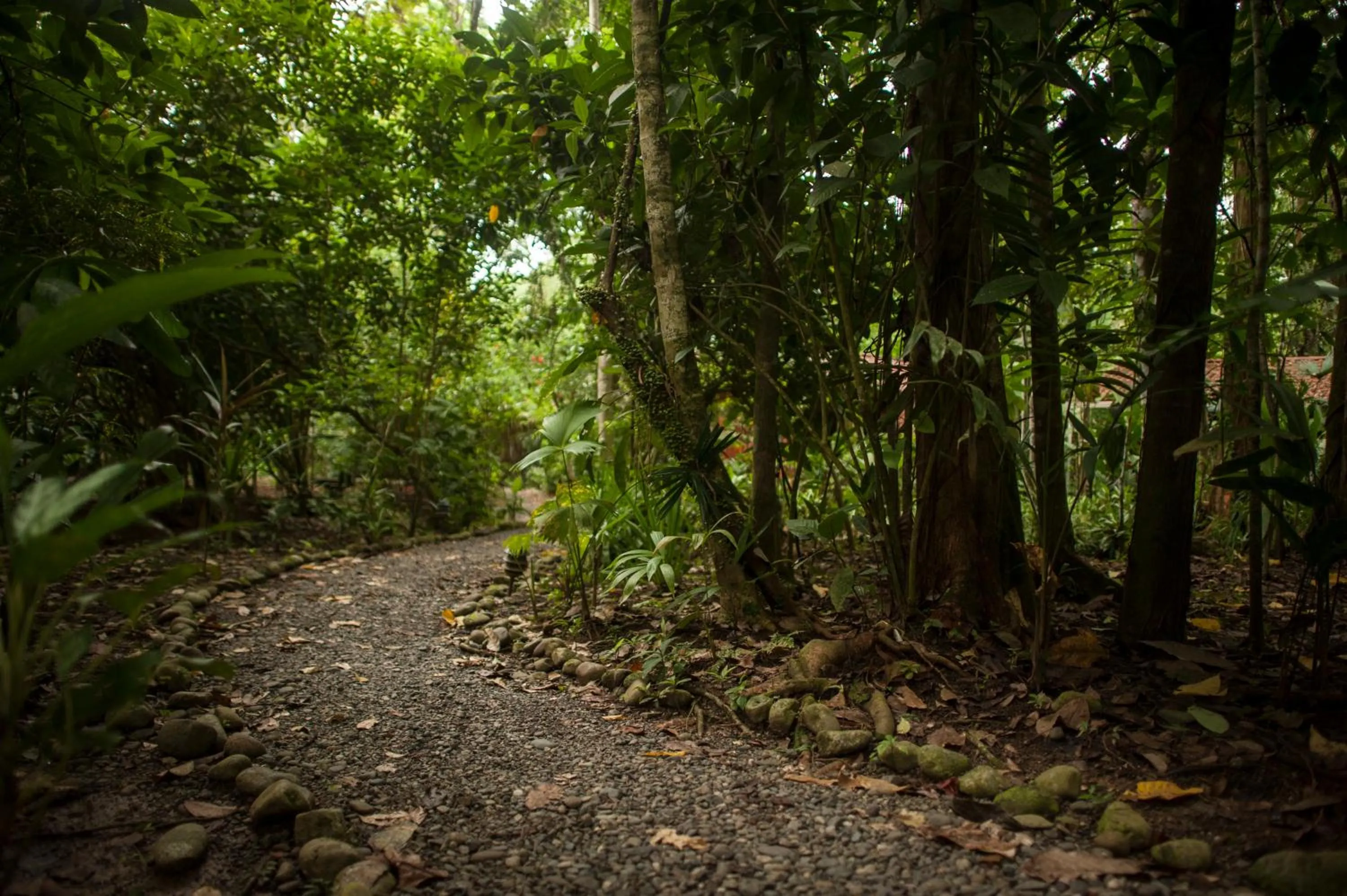 Garden in Tierra de Sueños Lodge & Wellness Center