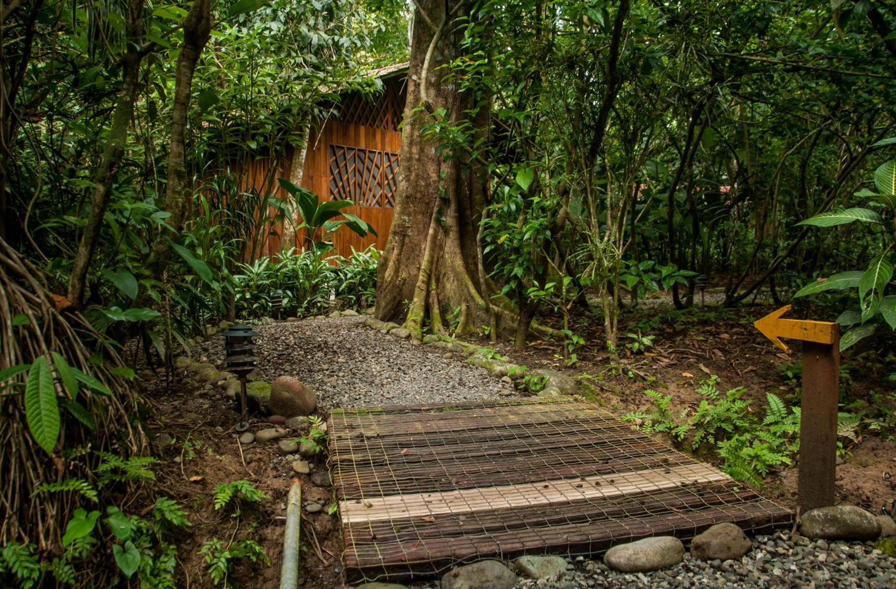 Area and facilities in Tierra de Sueños Lodge & Wellness Center