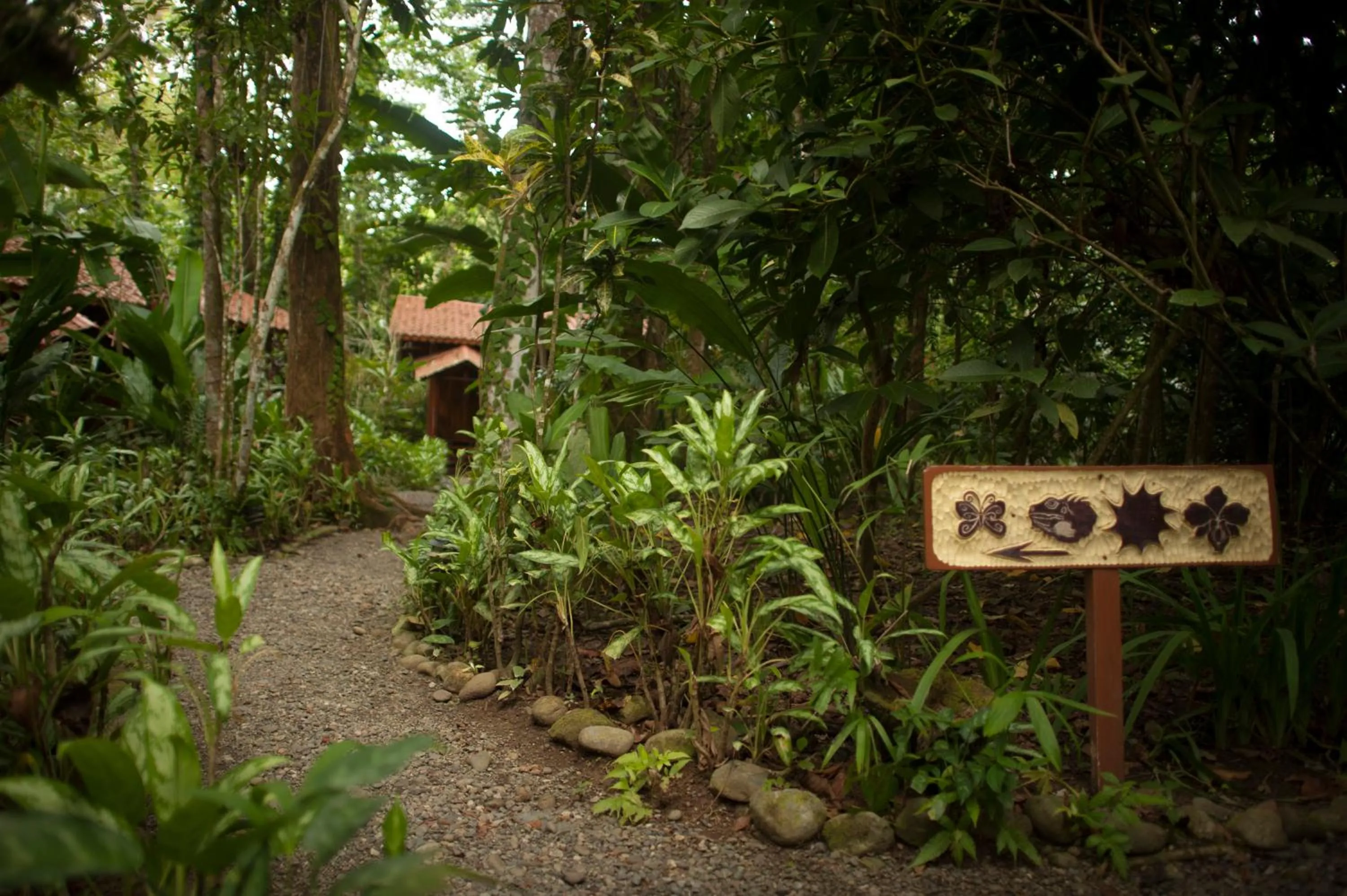 Garden in Tierra de Sueños Lodge & Wellness Center