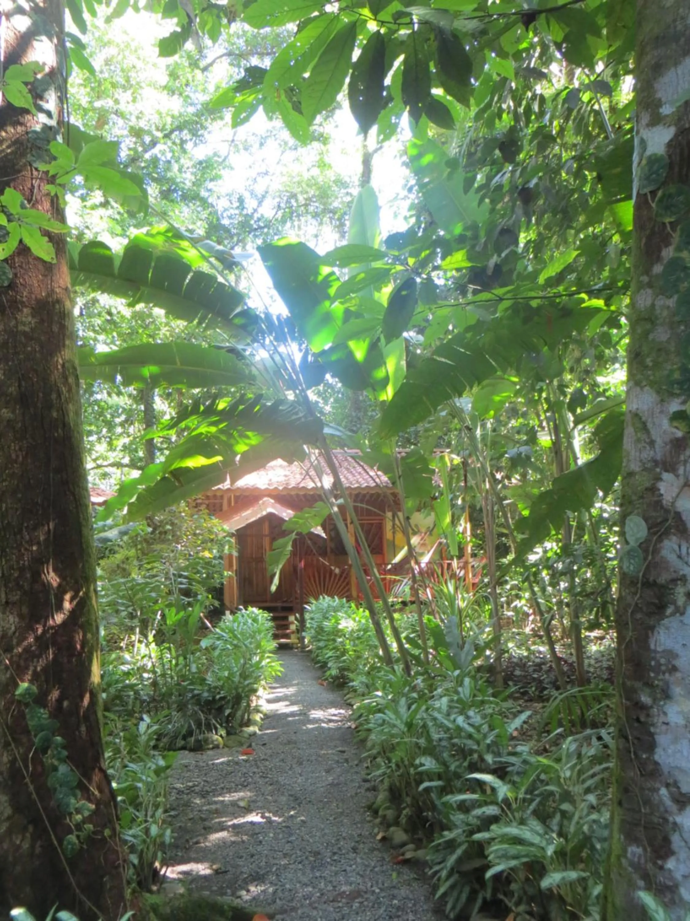 Photo of the whole room in Tierra de Sueños Lodge & Wellness Center