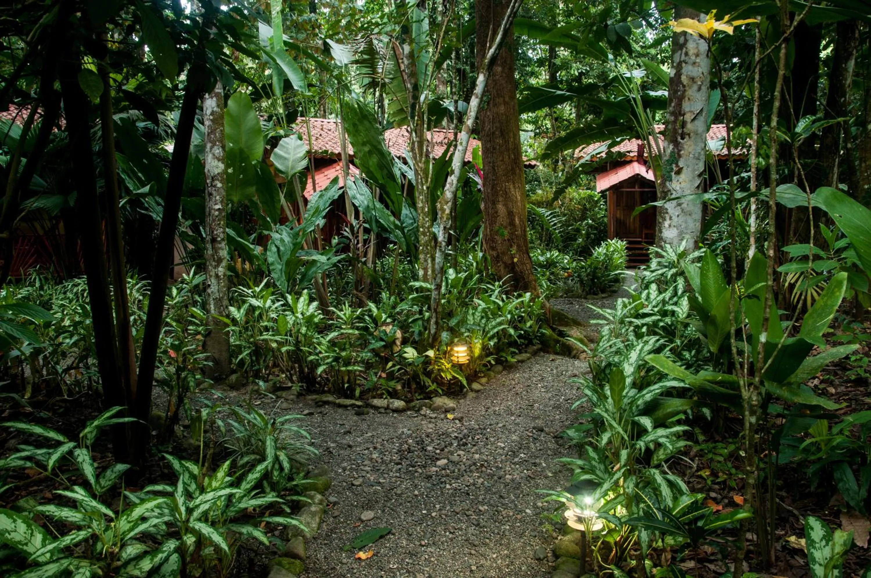 Garden in Tierra de Sueños Lodge & Wellness Center