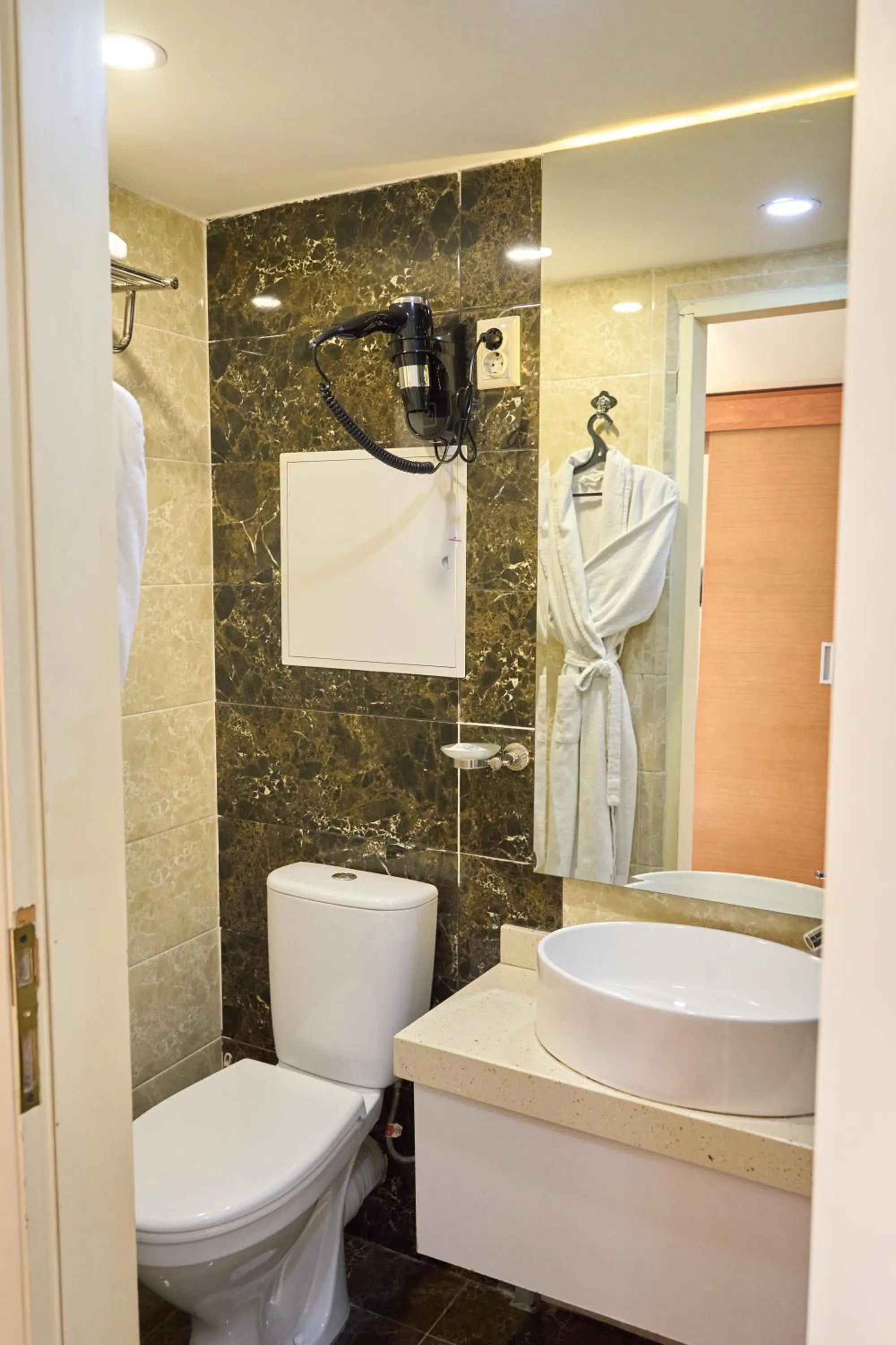 Toilet in Almaty Hotel