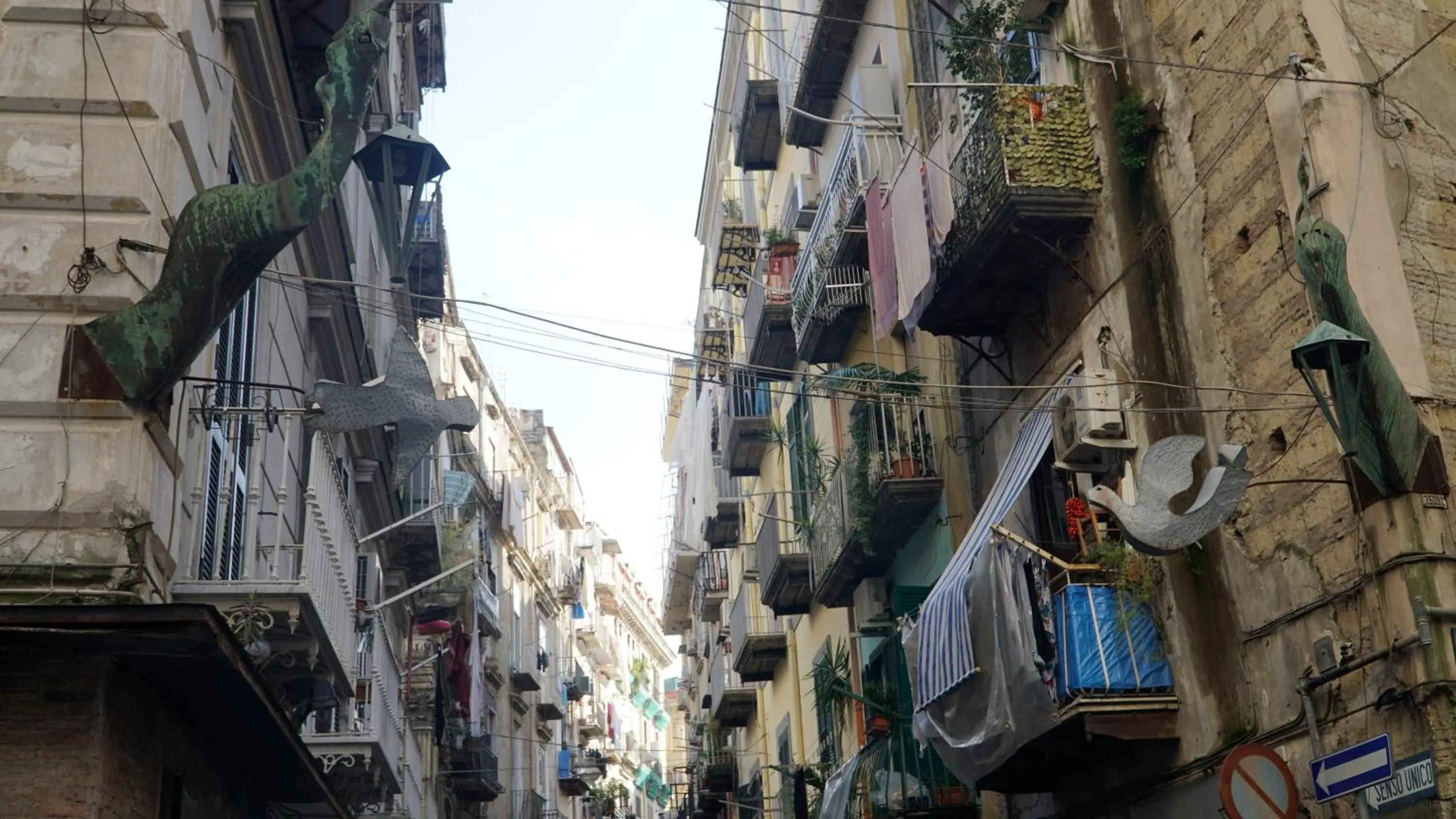 Donna Vicenza Bed & Breakfast