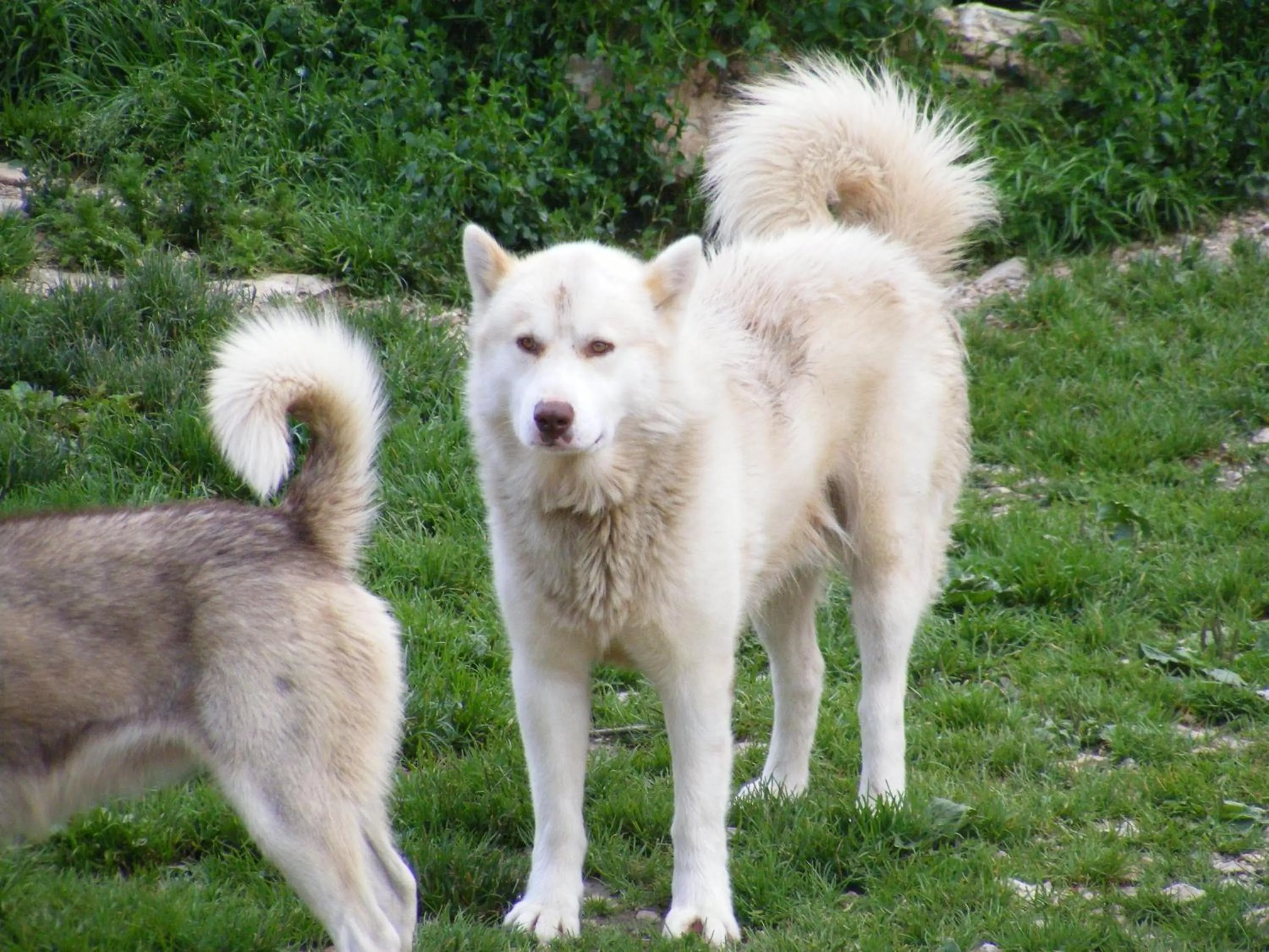 Activities in Azureva Métabief
